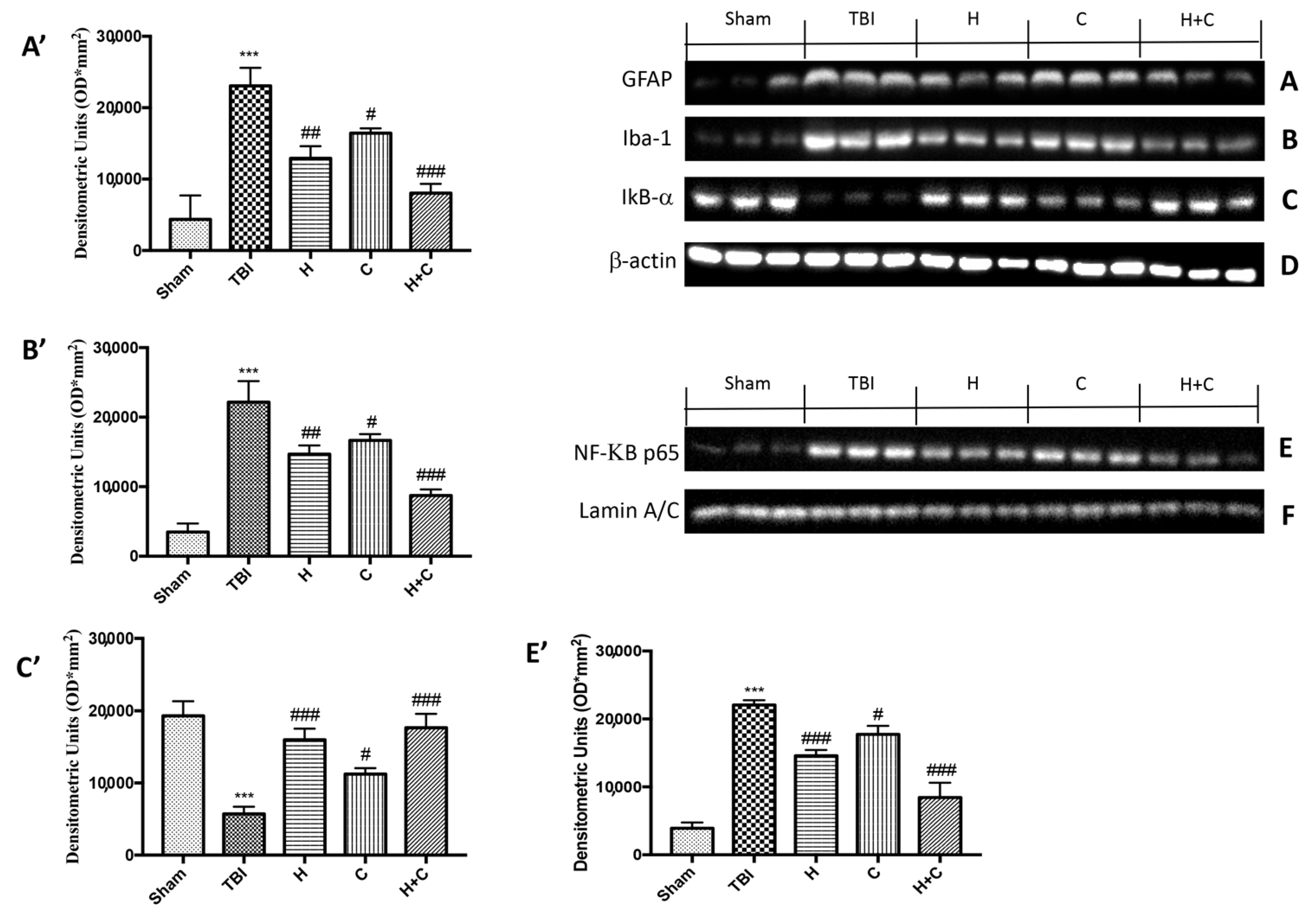 Antioxidants 10 00898 g003