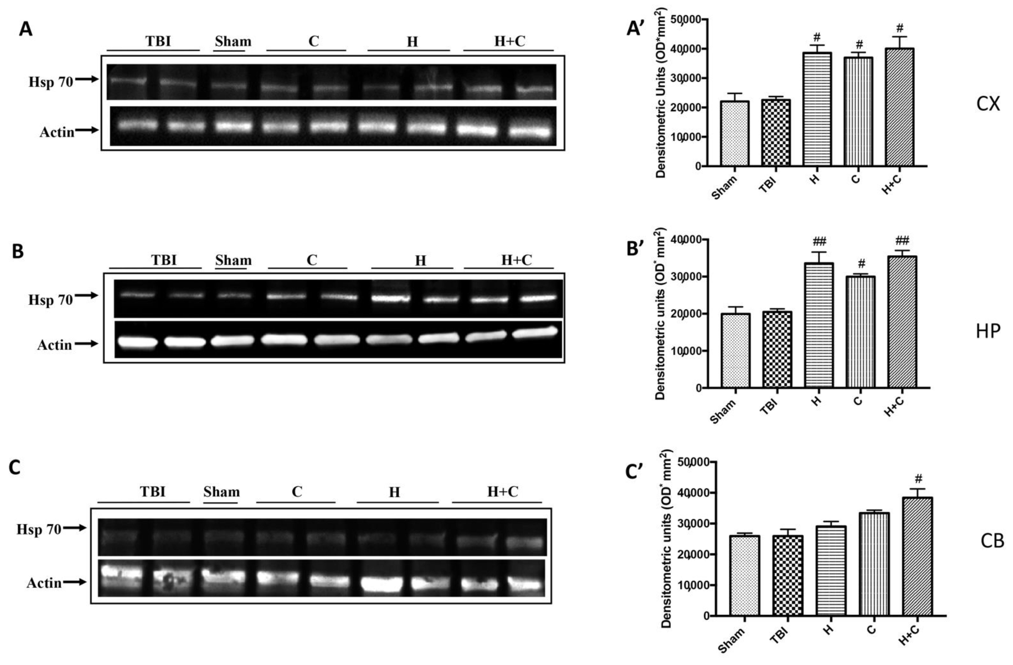 Antioxidants 10 00898 g009