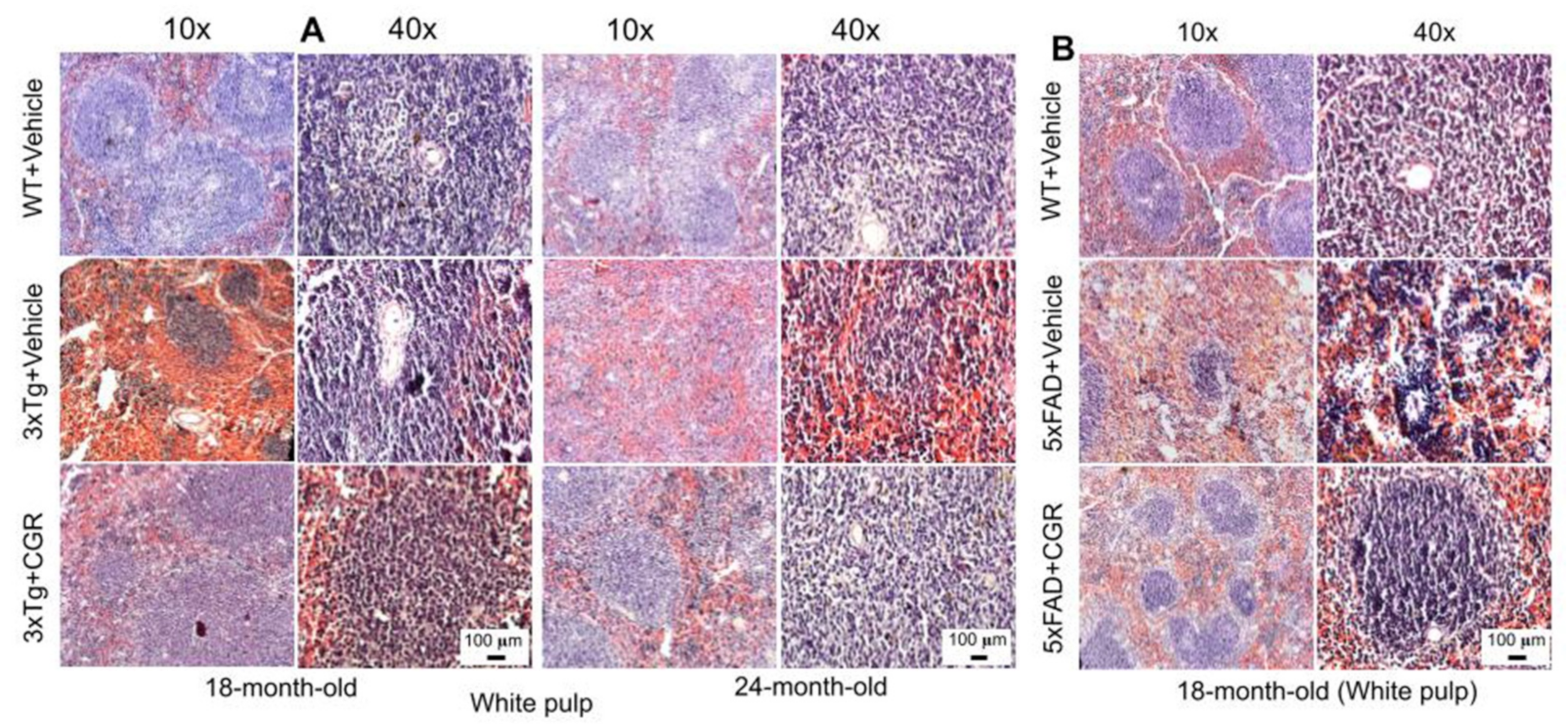 Antioxidants 10 00899 g003 Antioxidants 10 00899 g003