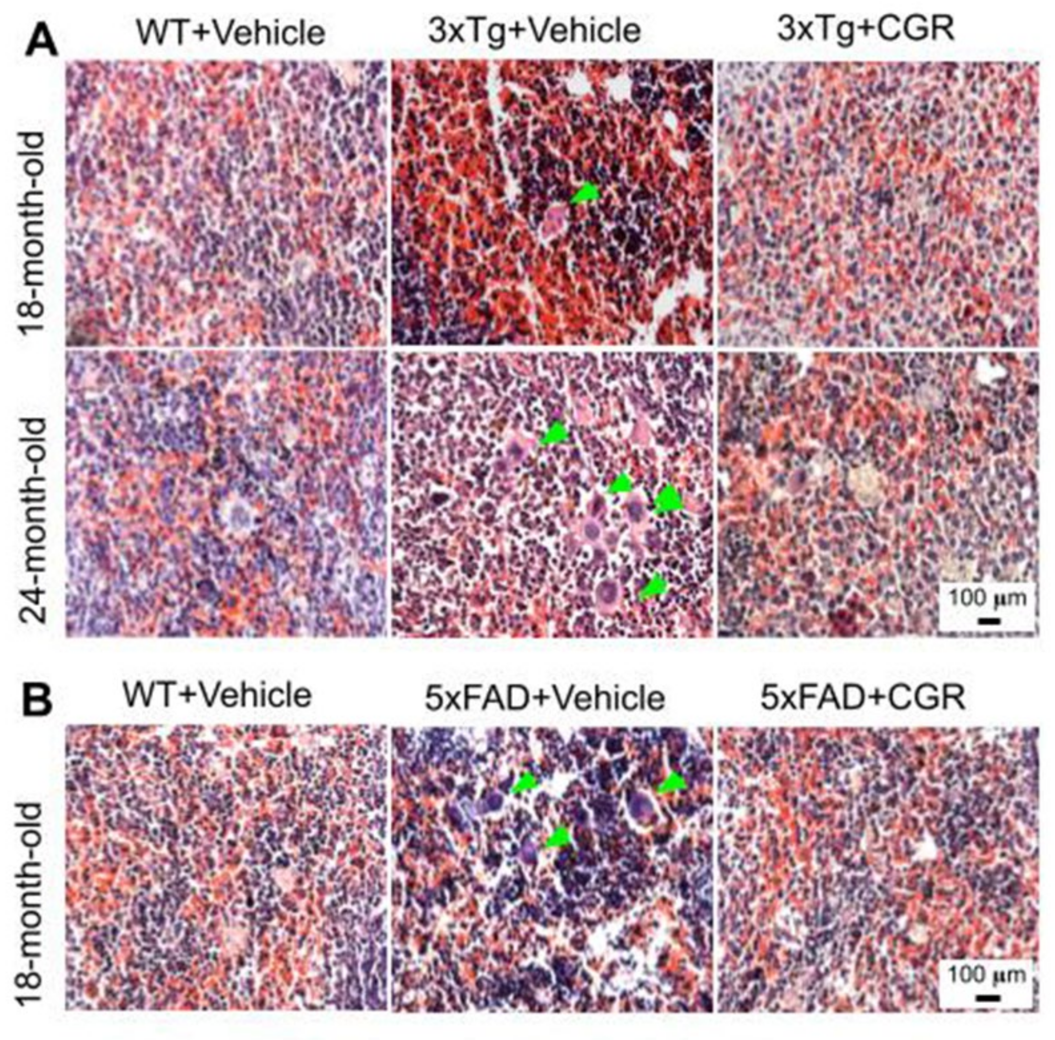Antioxidants 10 00899 g004 Antioxidants 10 00899 g004