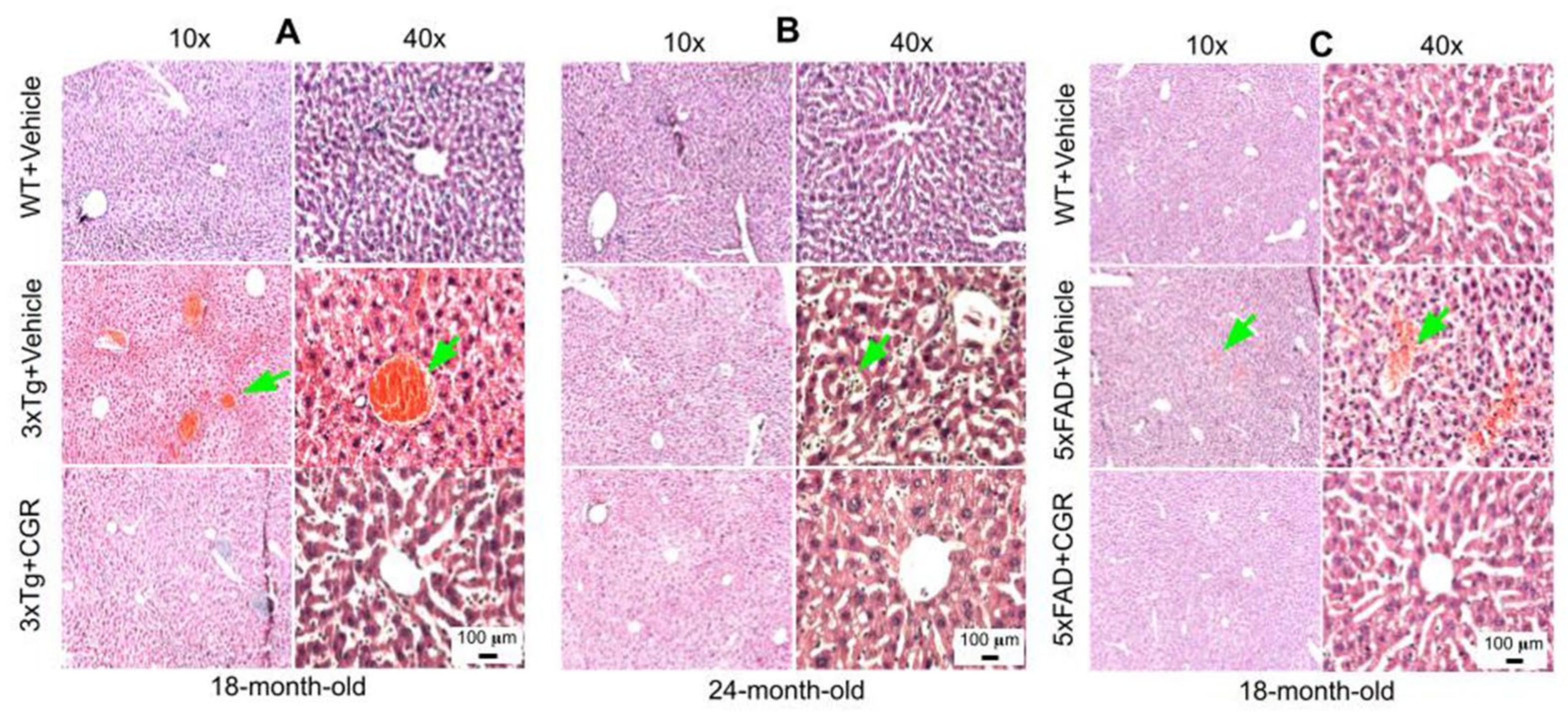 Antioxidants 10 00899 g005 Antioxidants 10 00899 g005