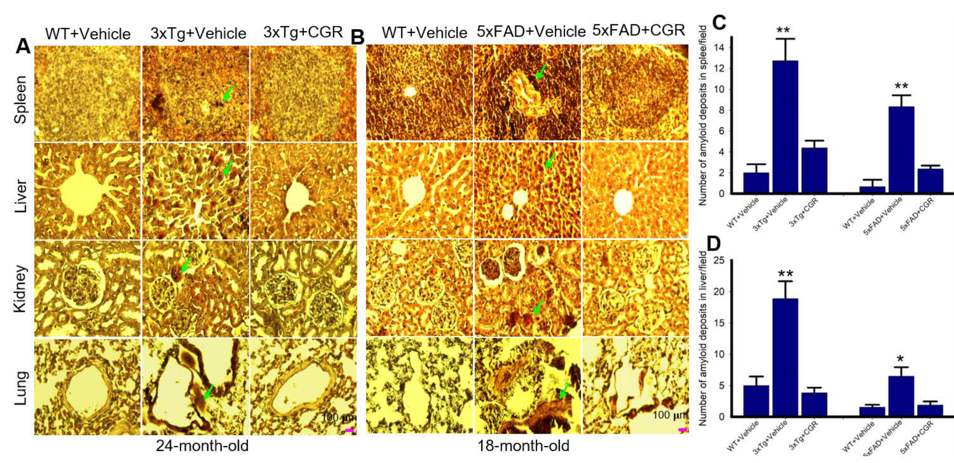 Antioxidants 10 00899 g010 Antioxidants 10 00899 g010