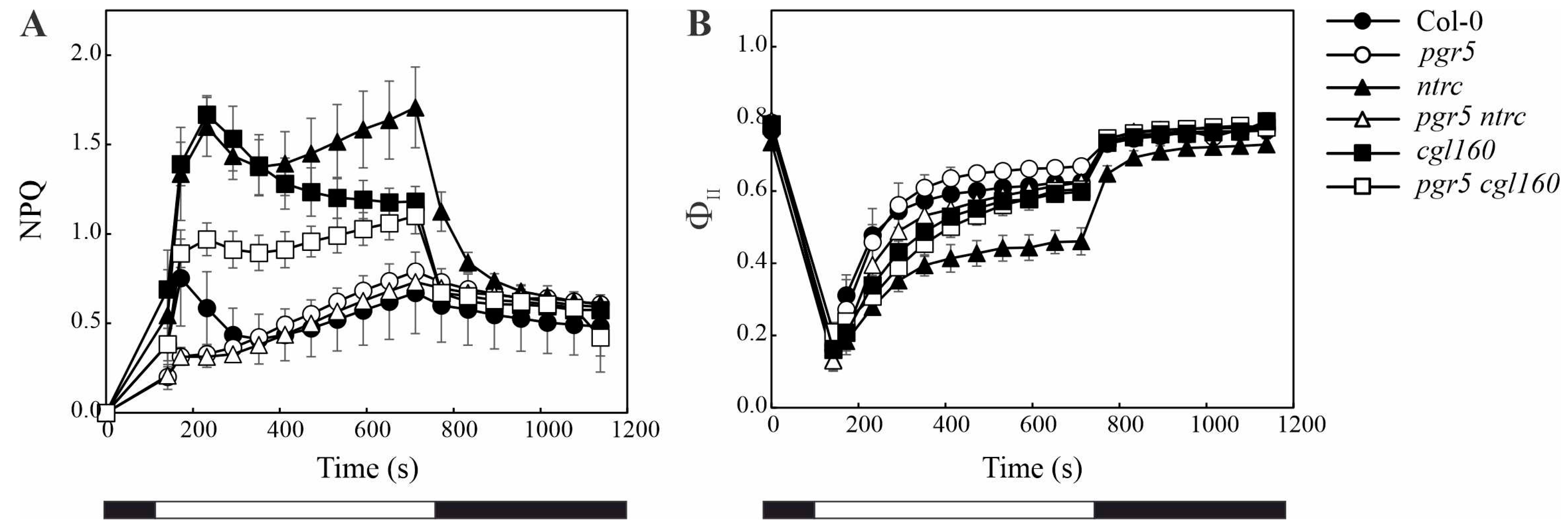 Antioxidants 10 00900 g003