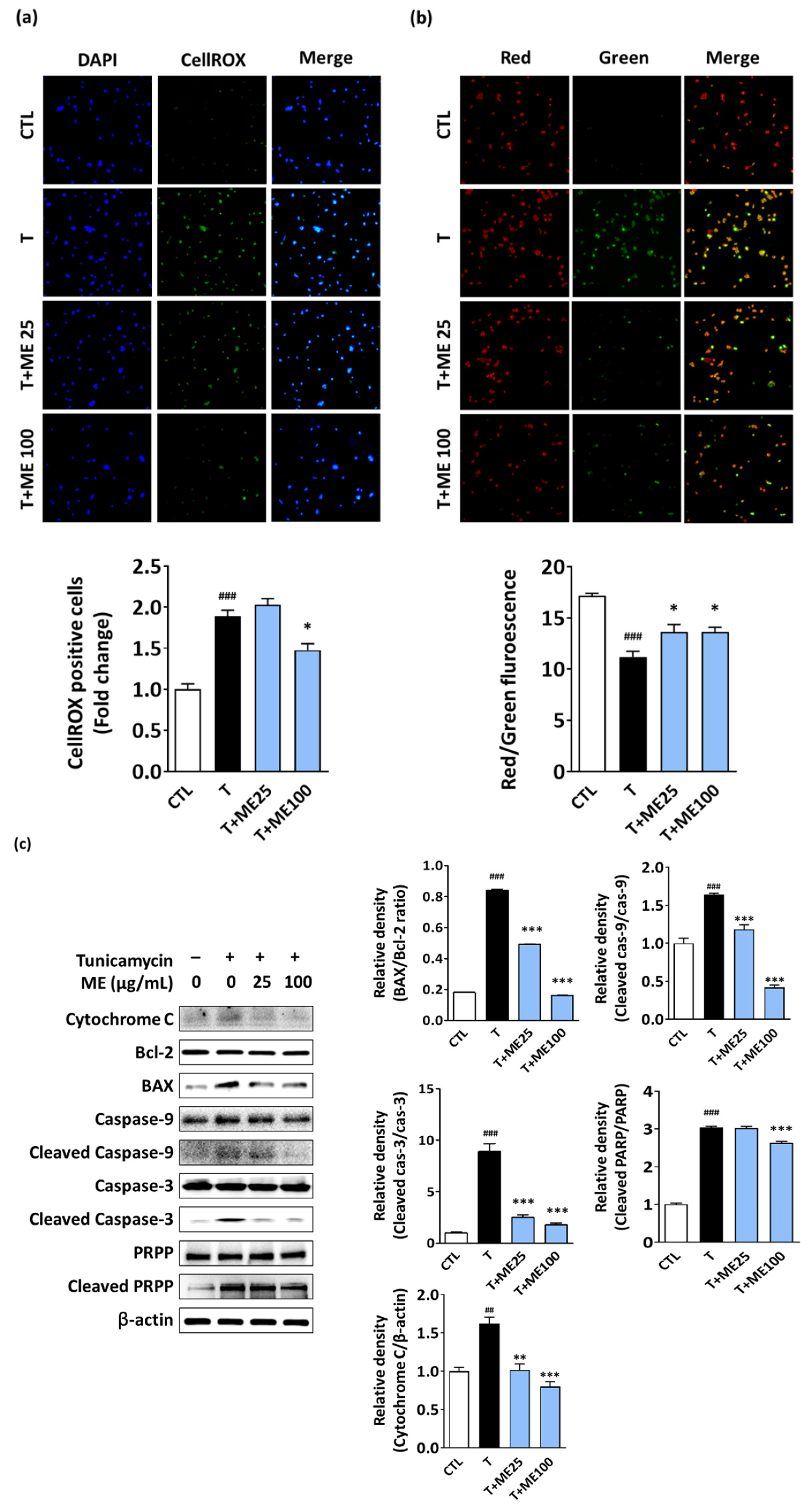 Antioxidants 10 00901 g004