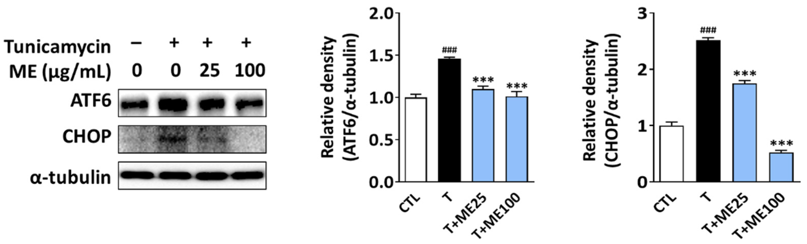 Antioxidants 10 00901 g005