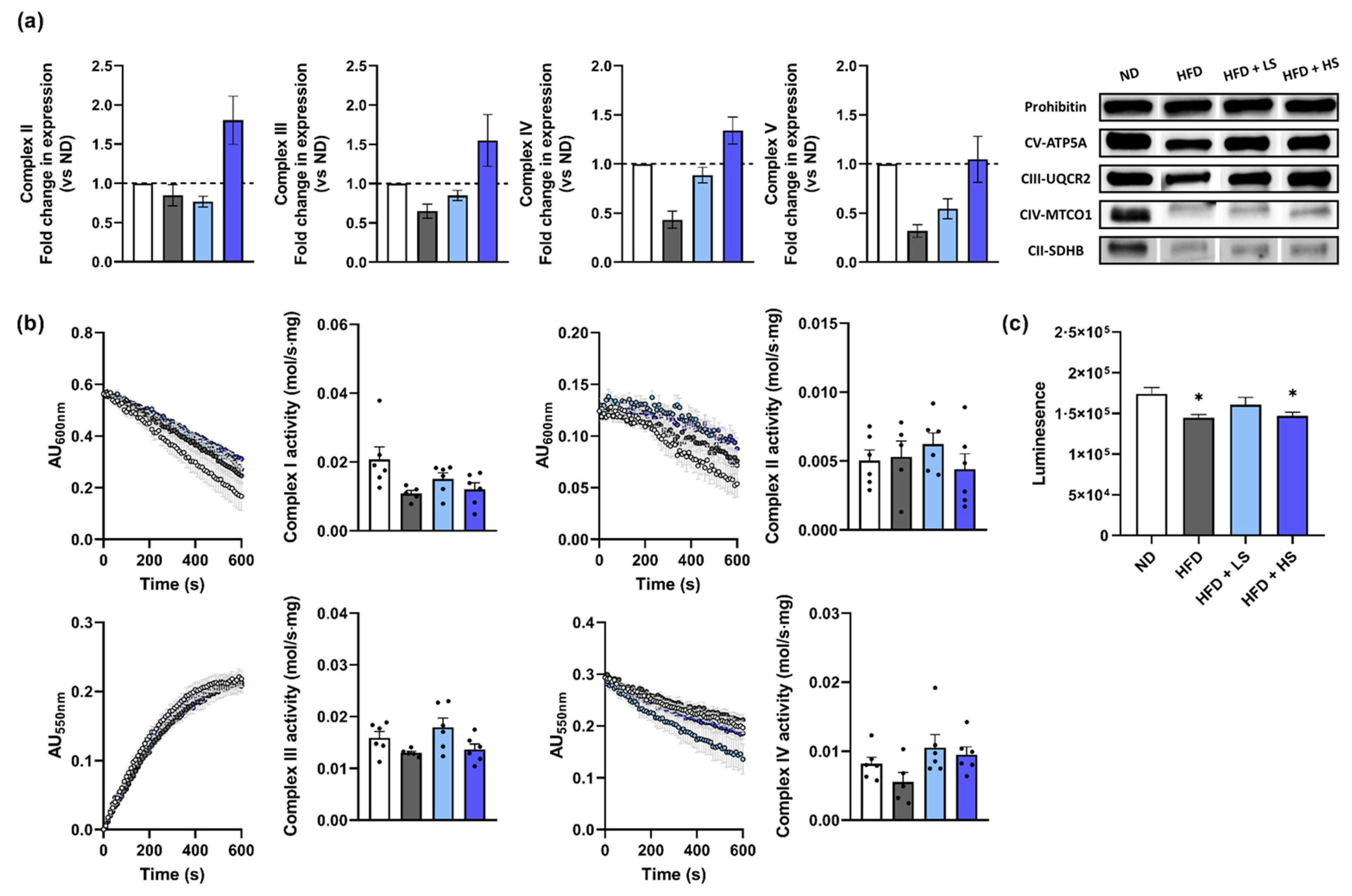 Antioxidants 10 00901 g007