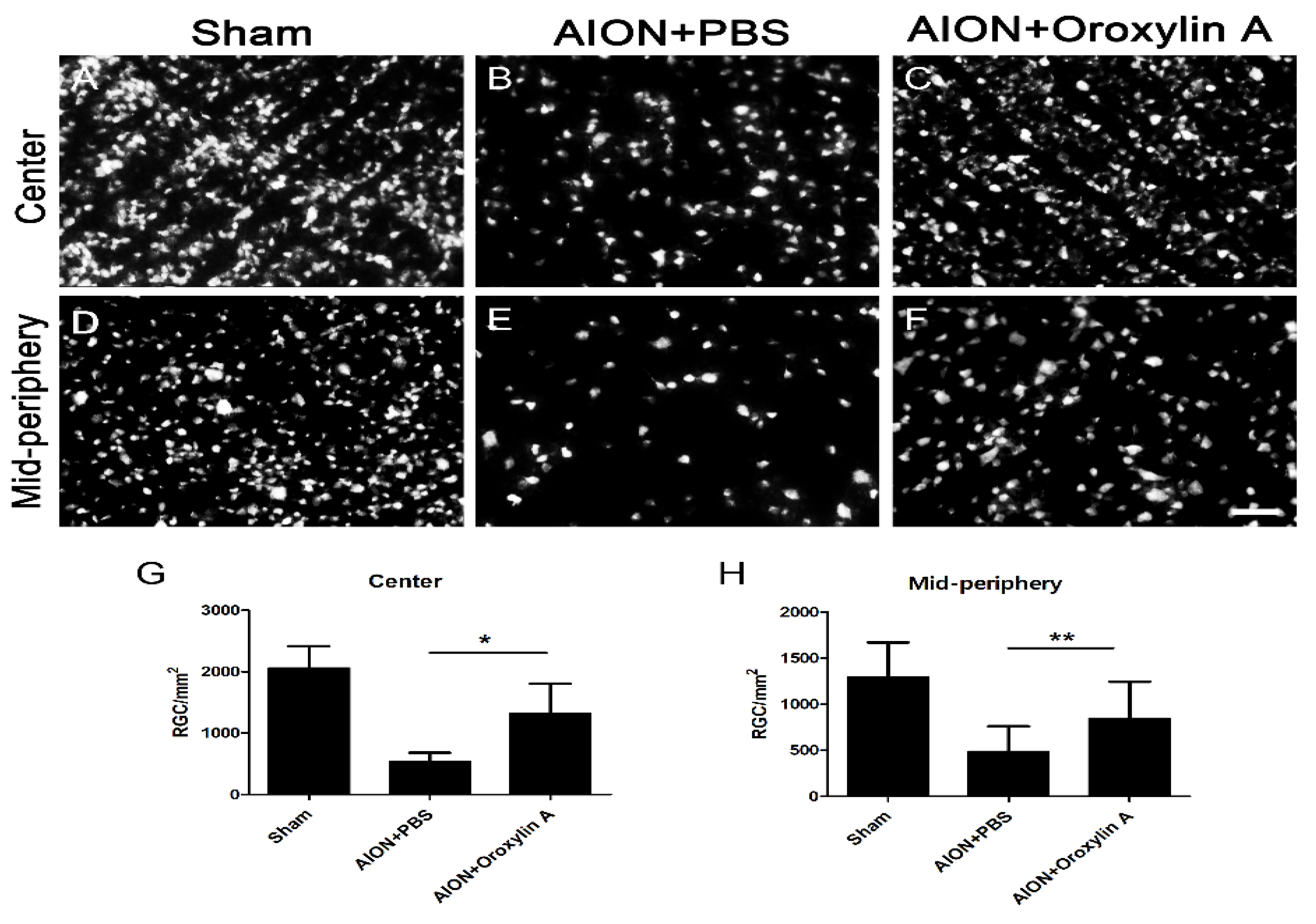 Antioxidants 10 00902 g002