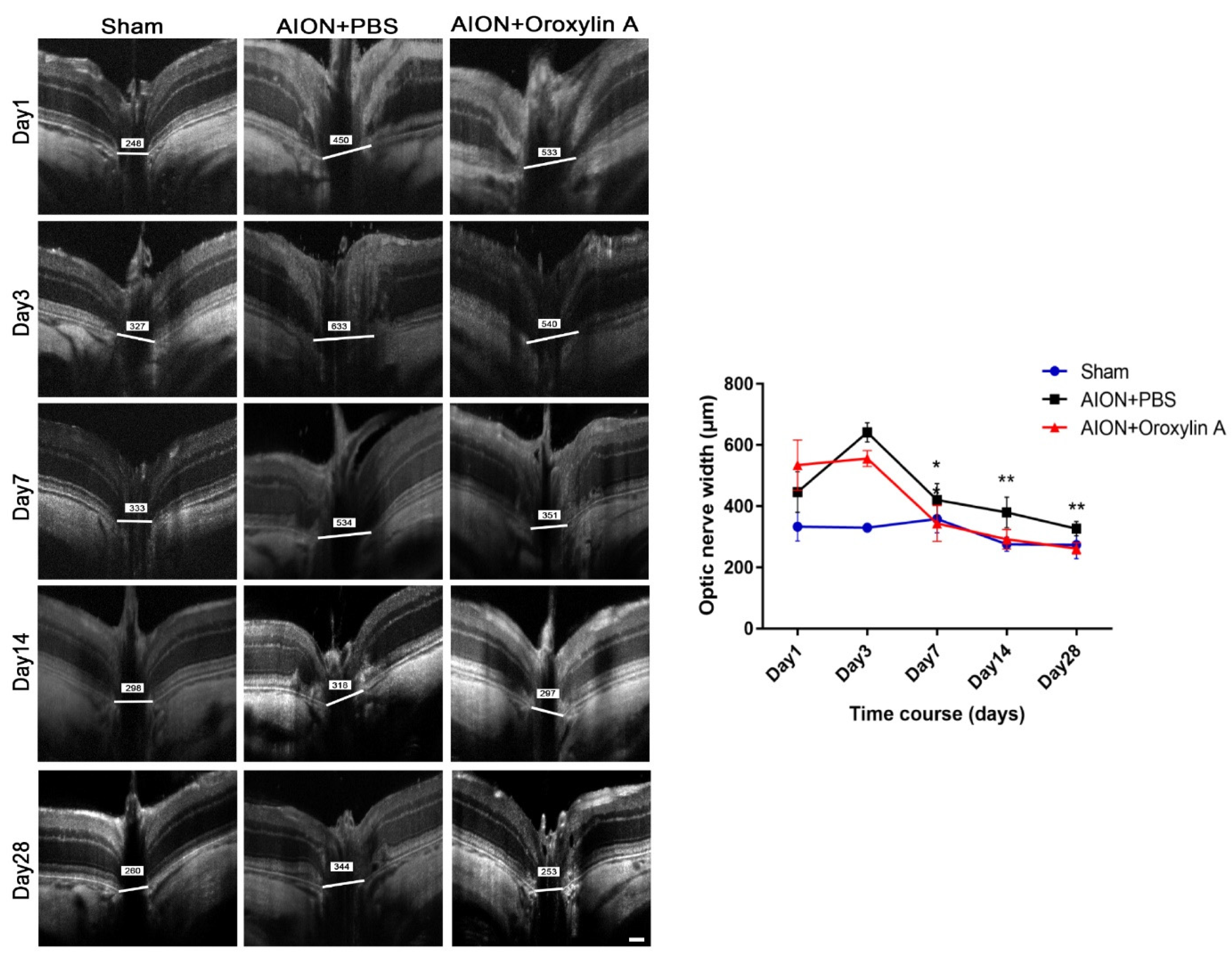 Antioxidants 10 00902 g004
