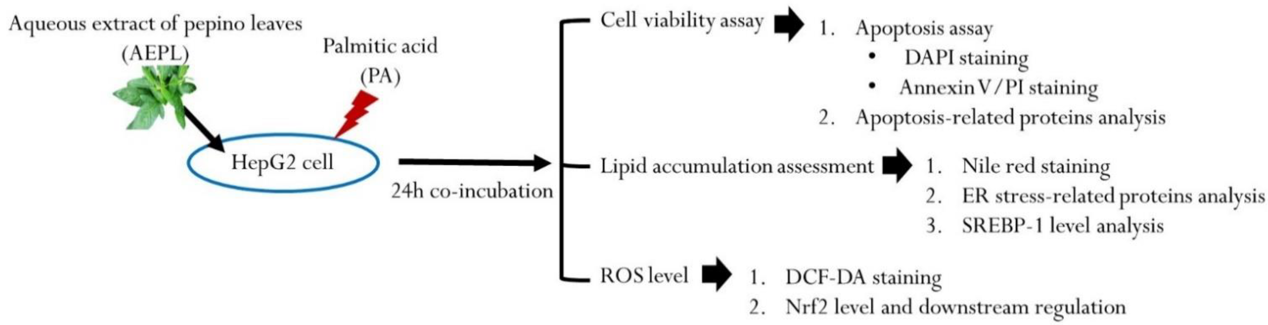 Antioxidants 10 00903 g001