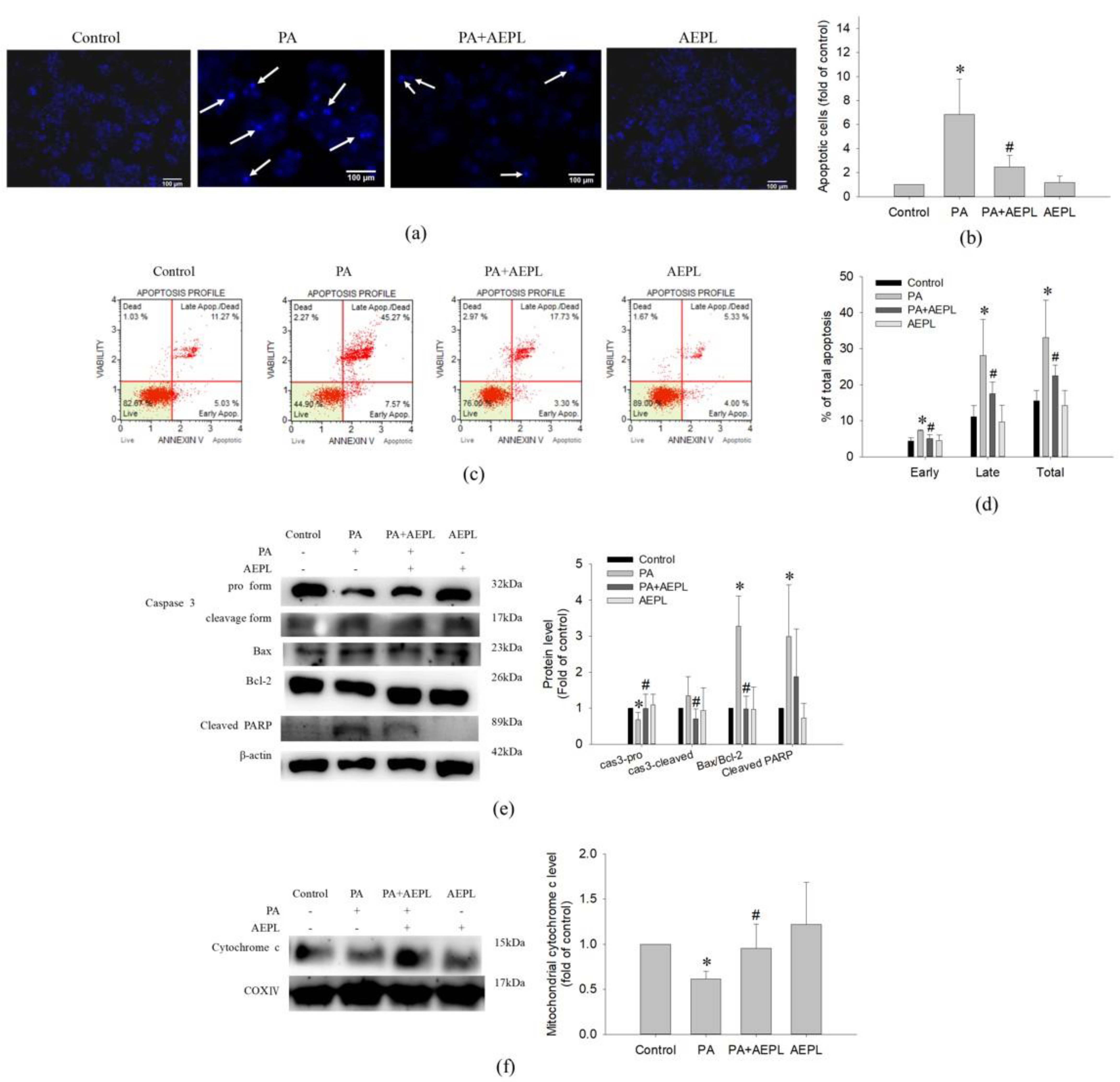 Antioxidants 10 00903 g004