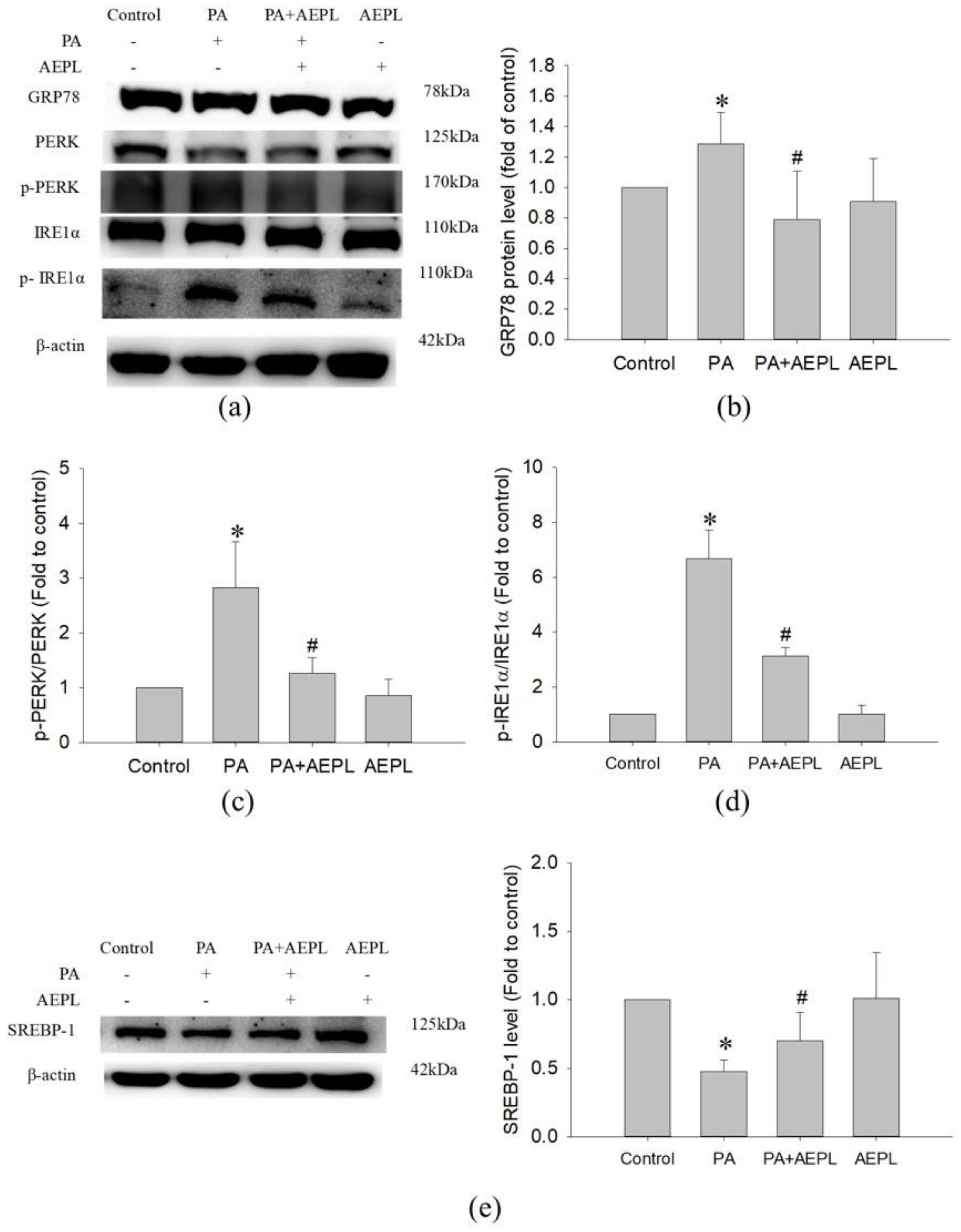 Antioxidants 10 00903 g005