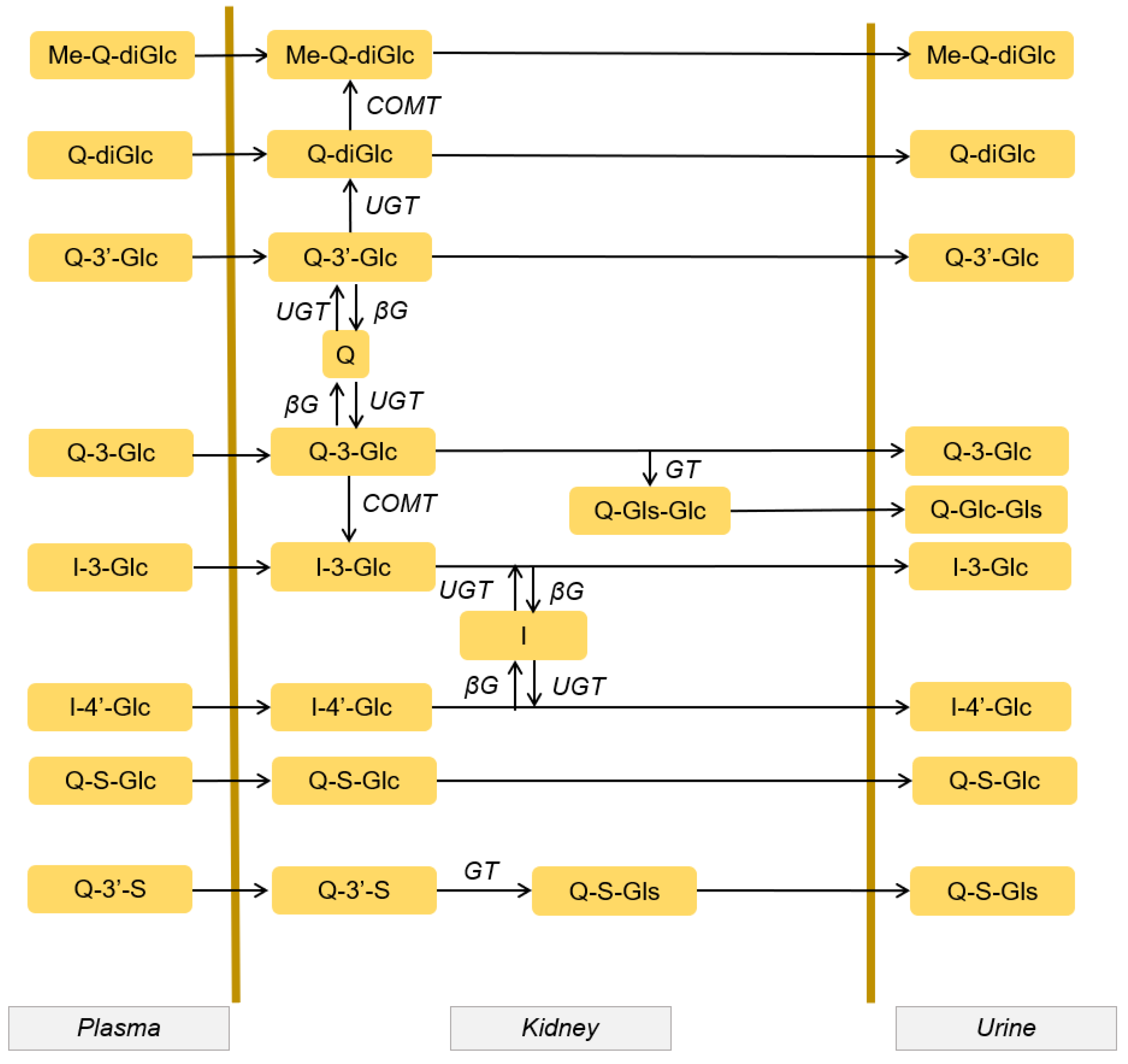 Antioxidants 10 00909 g003