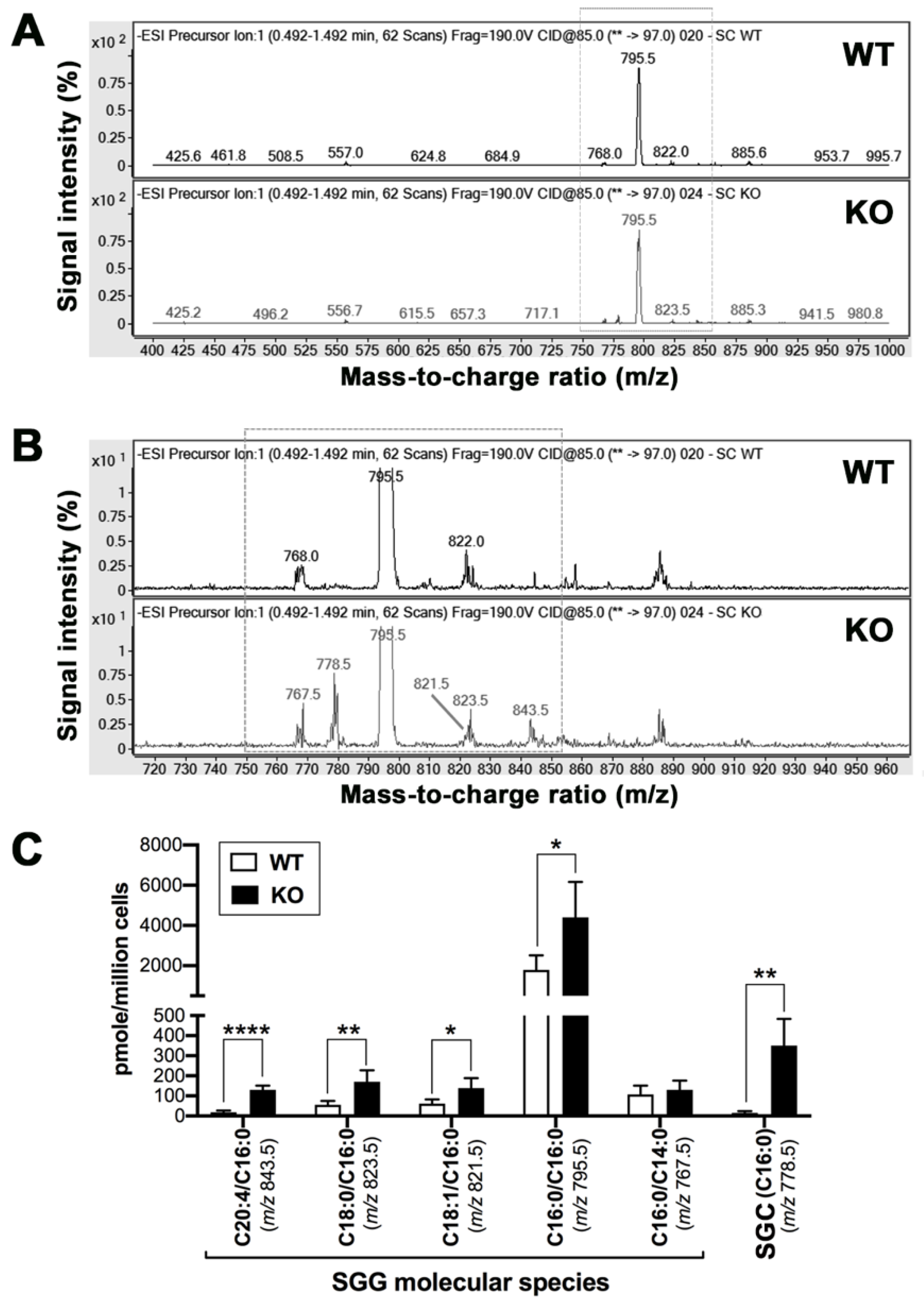 Antioxidants 10 00912 g003 Antioxidants 10 00912 g003