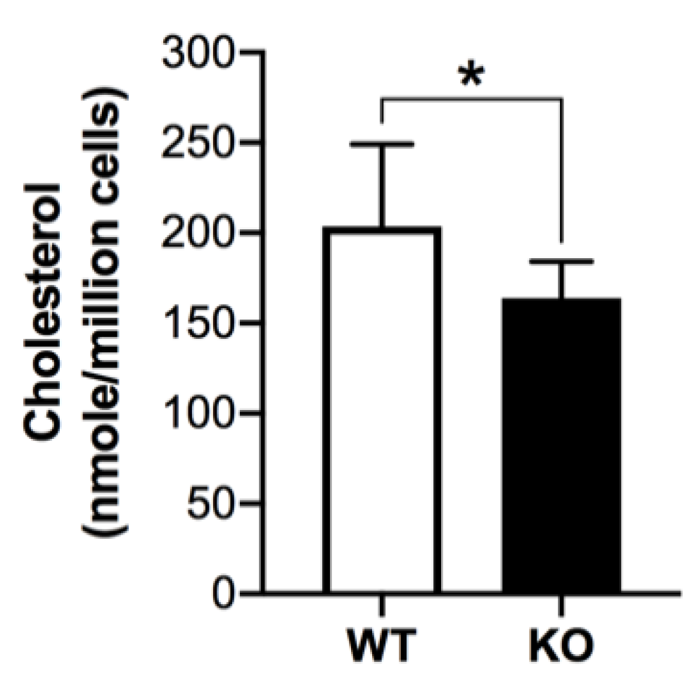 Antioxidants 10 00912 g004 Antioxidants 10 00912 g004