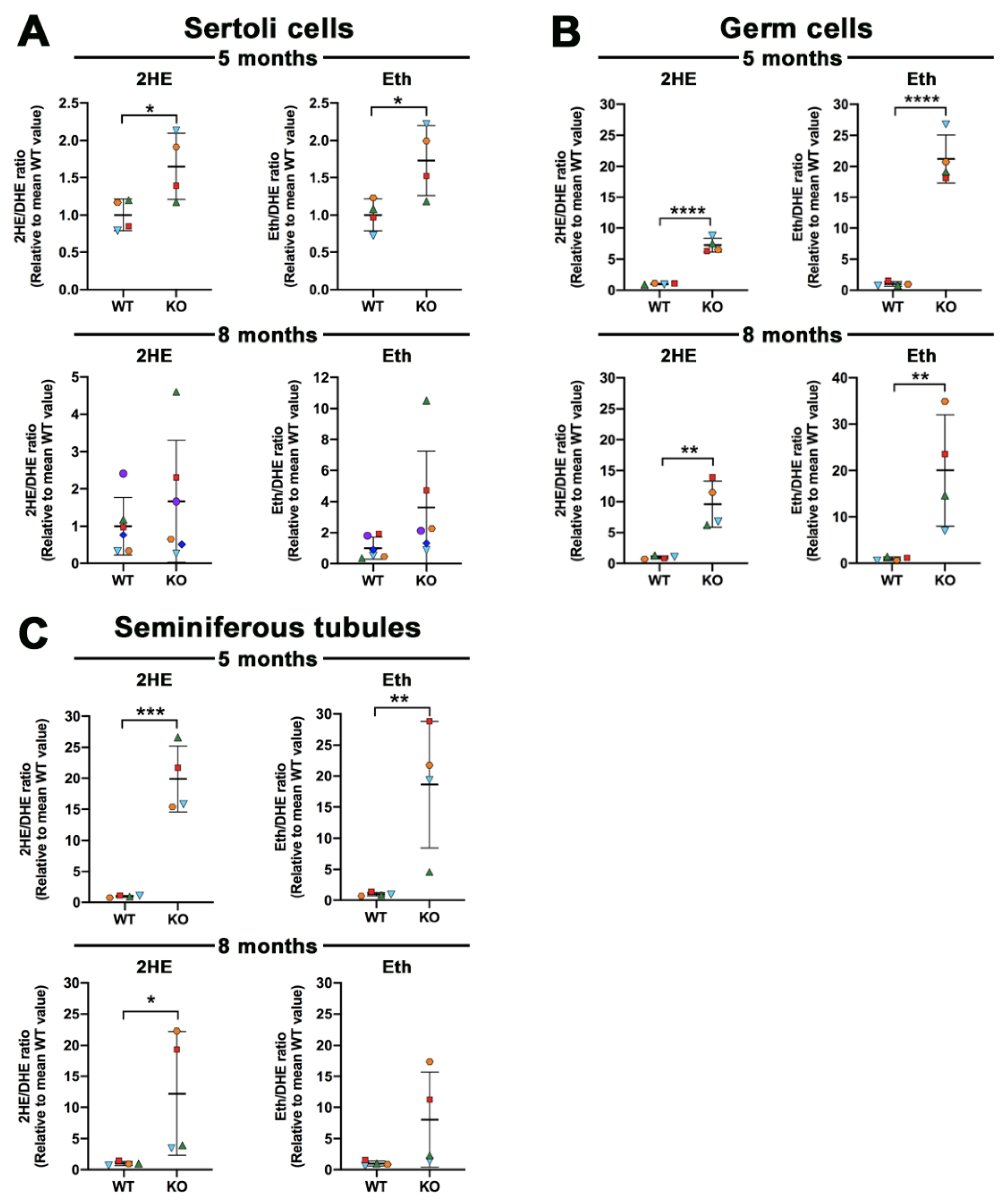 Antioxidants 10 00912 g005 Antioxidants 10 00912 g005