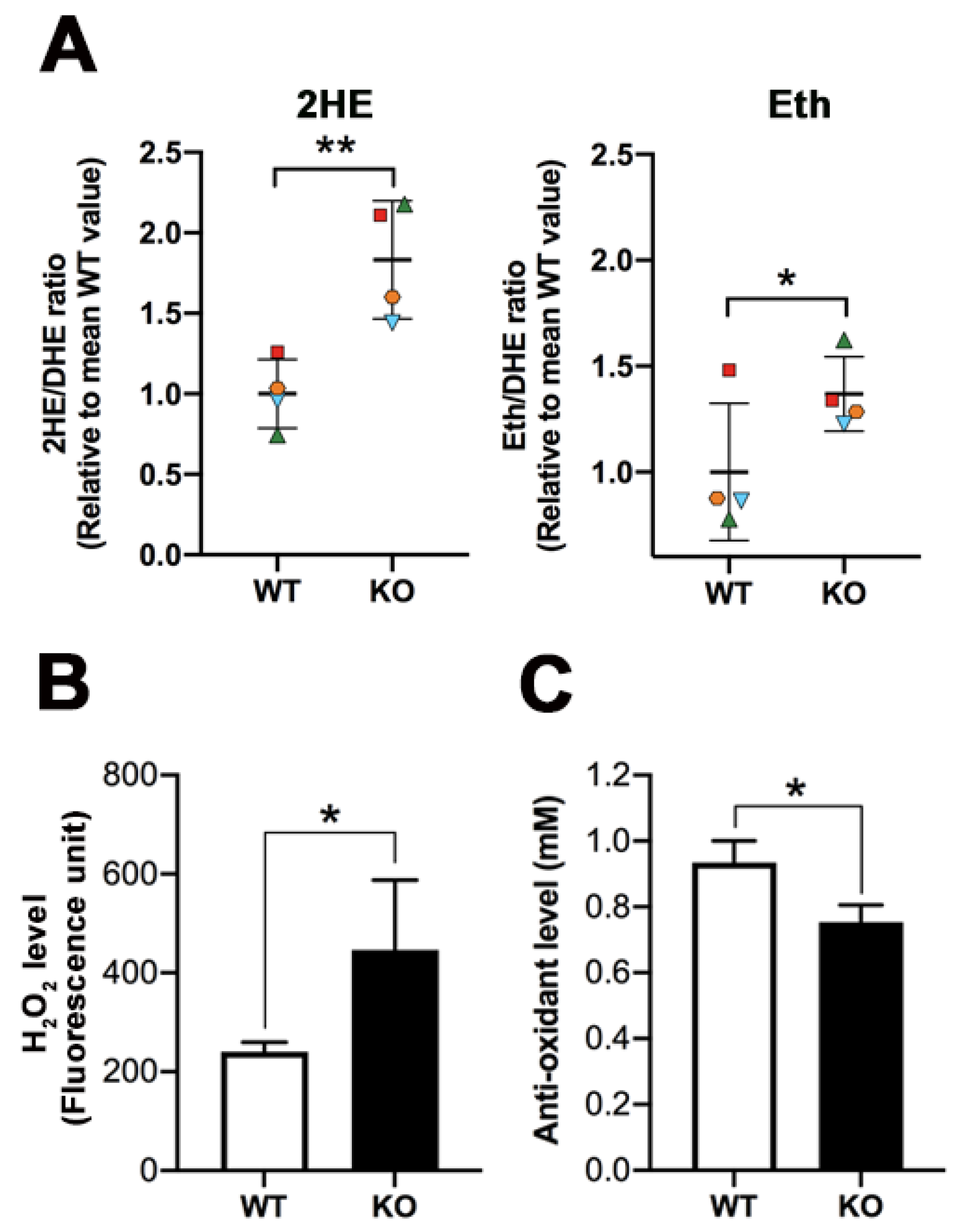 Antioxidants 10 00912 g009 Antioxidants 10 00912 g009