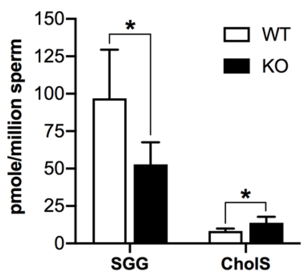Antioxidants 10 00912 g010 Antioxidants 10 00912 g010