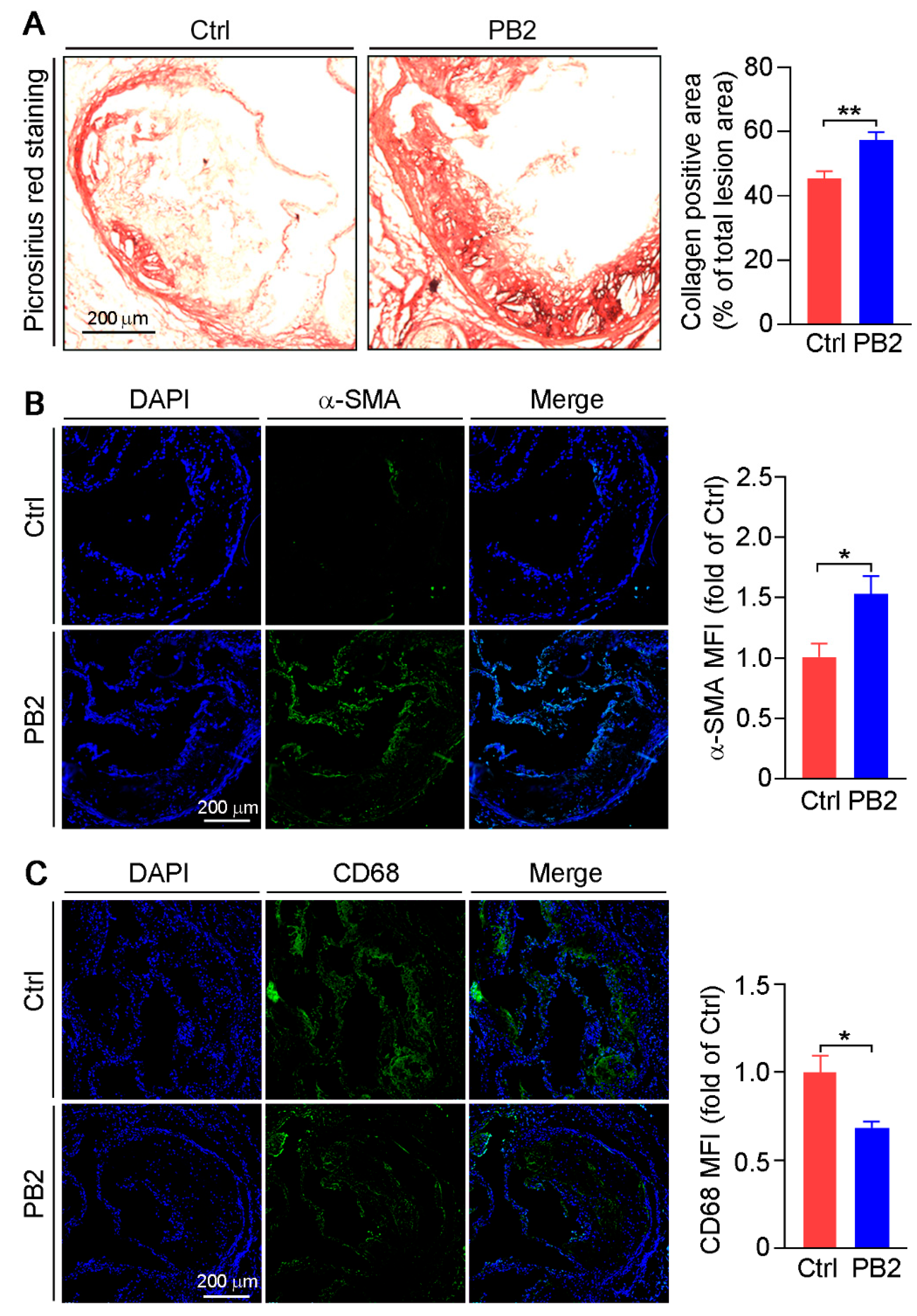 Antioxidants 10 00916 g002
