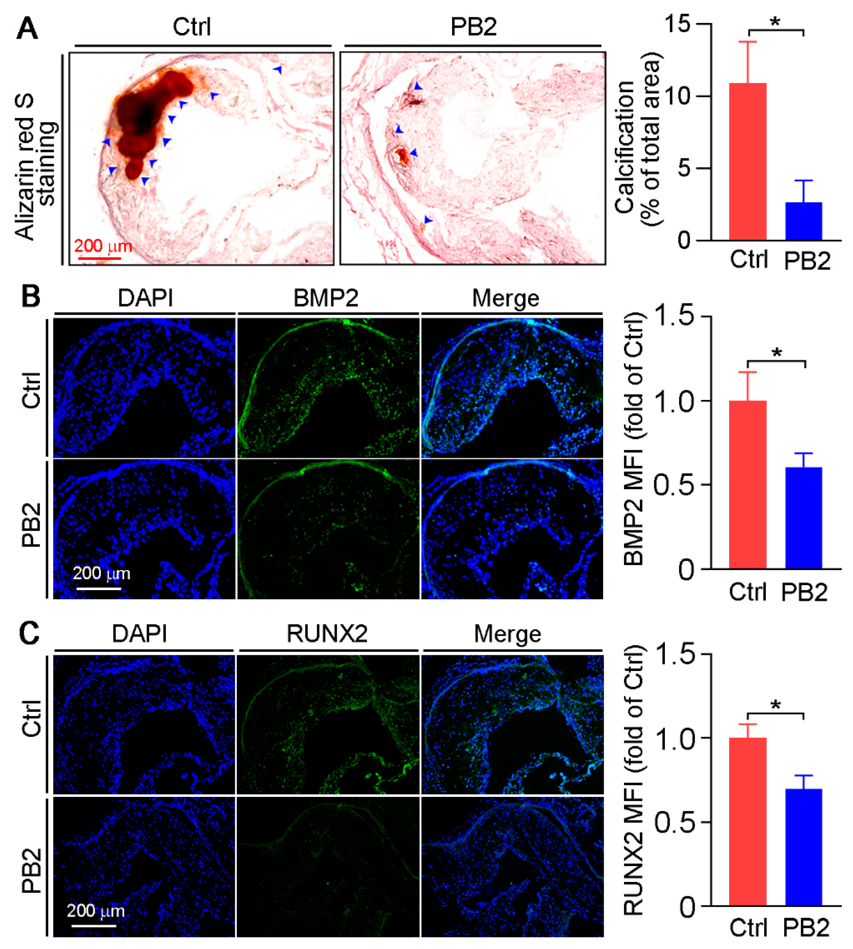 Antioxidants 10 00916 g003