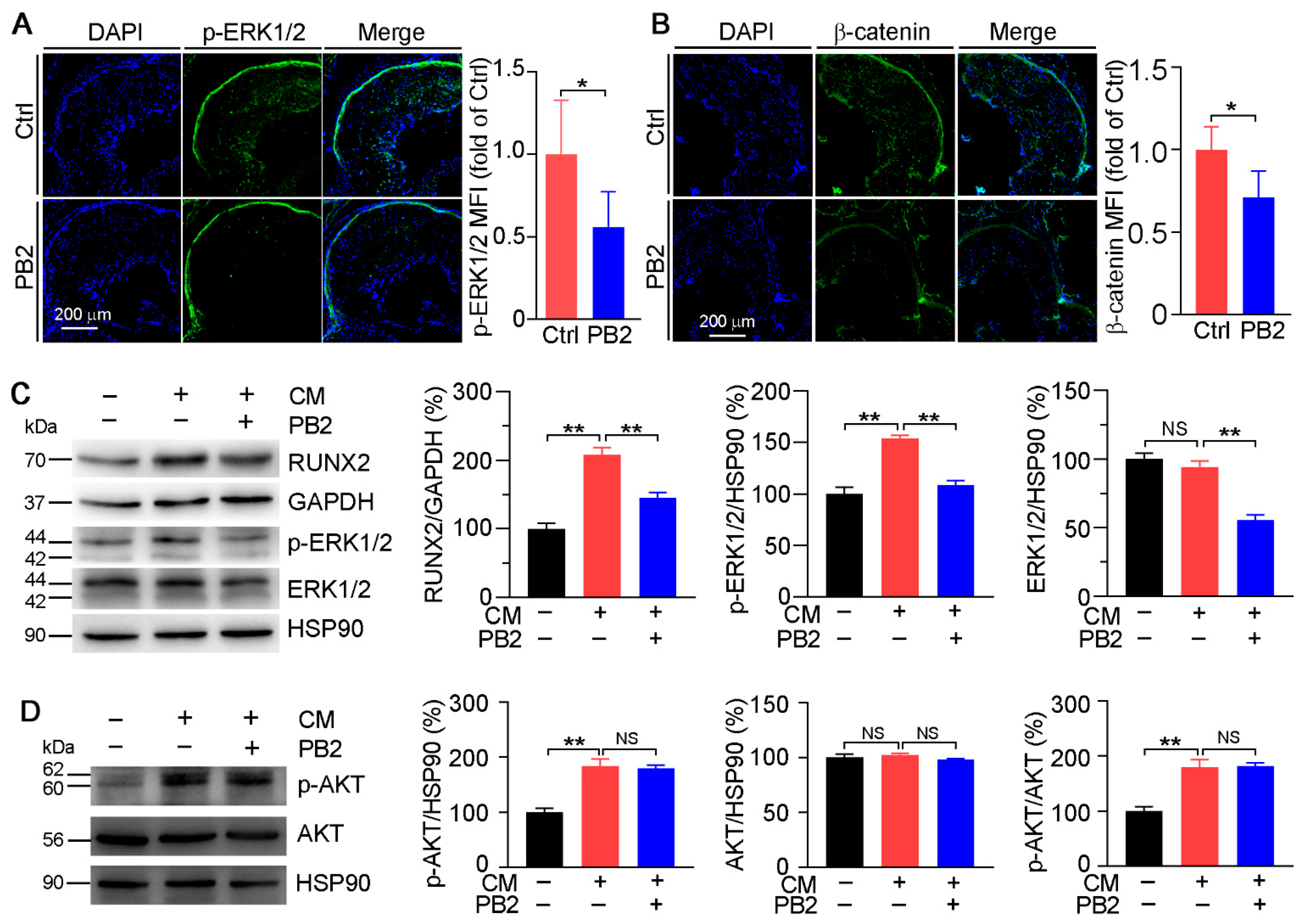 Antioxidants 10 00916 g006
