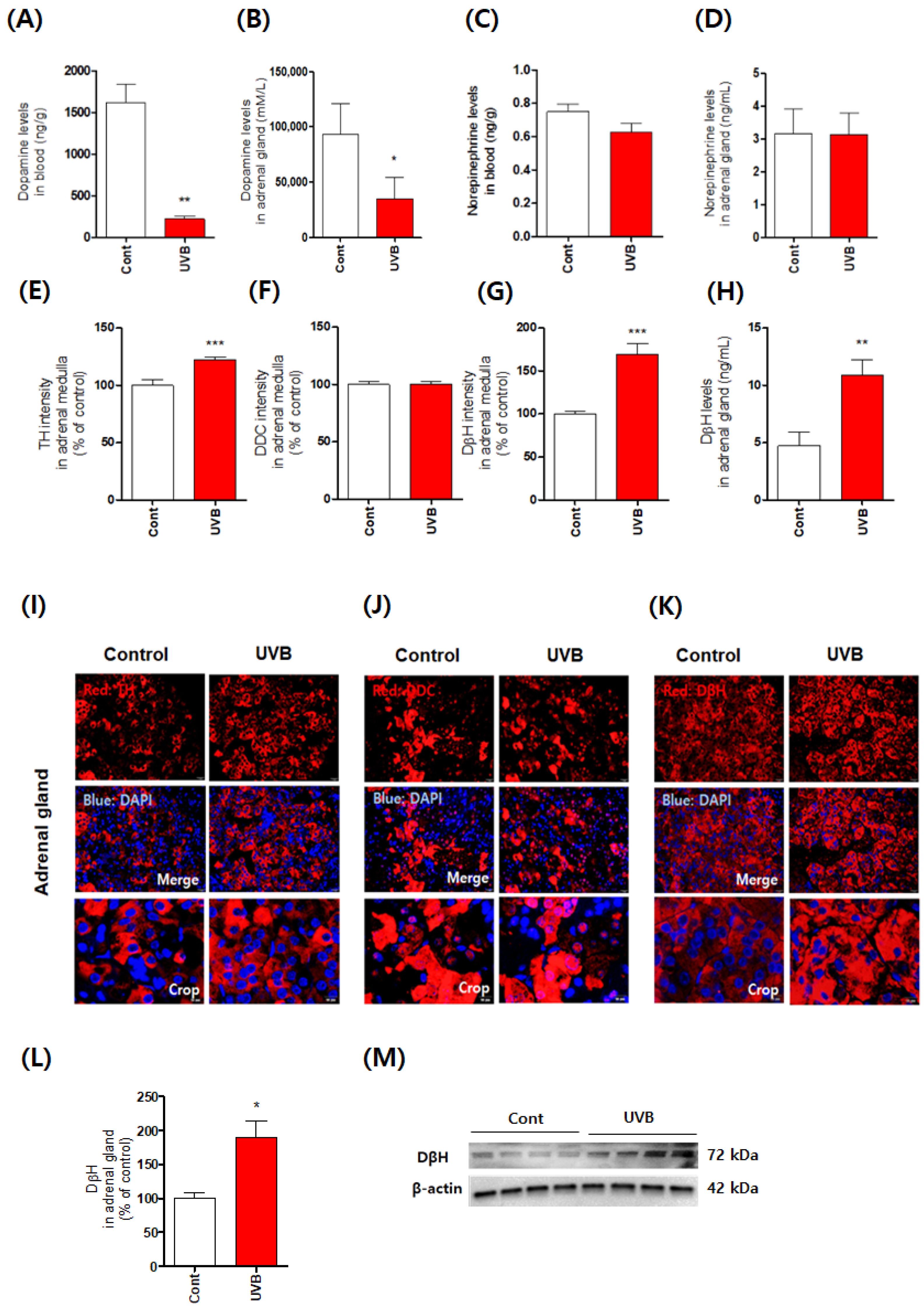 Antioxidants 10 00920 g001 Antioxidants 10 00920 g001