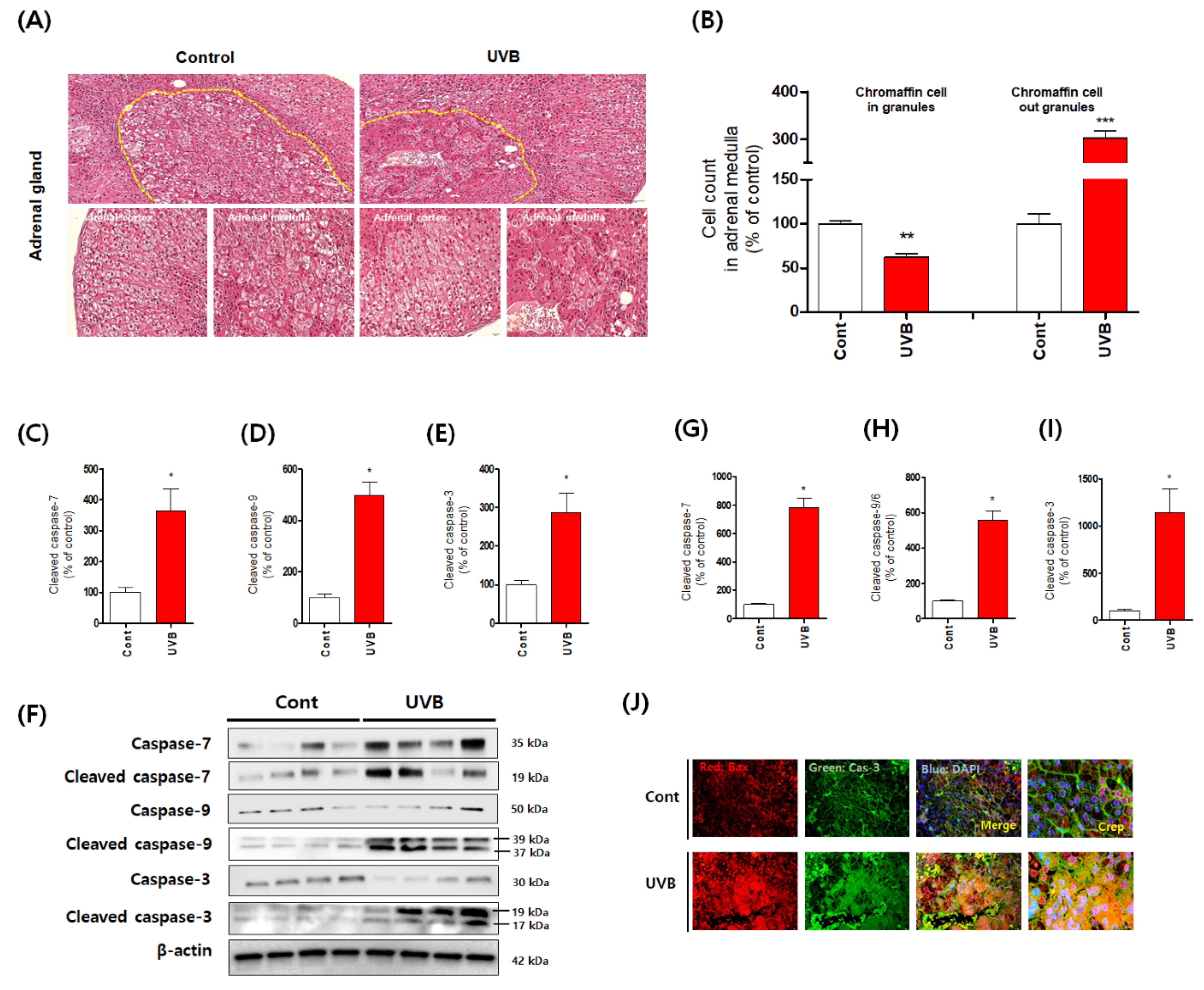 Antioxidants 10 00920 g002 Antioxidants 10 00920 g002