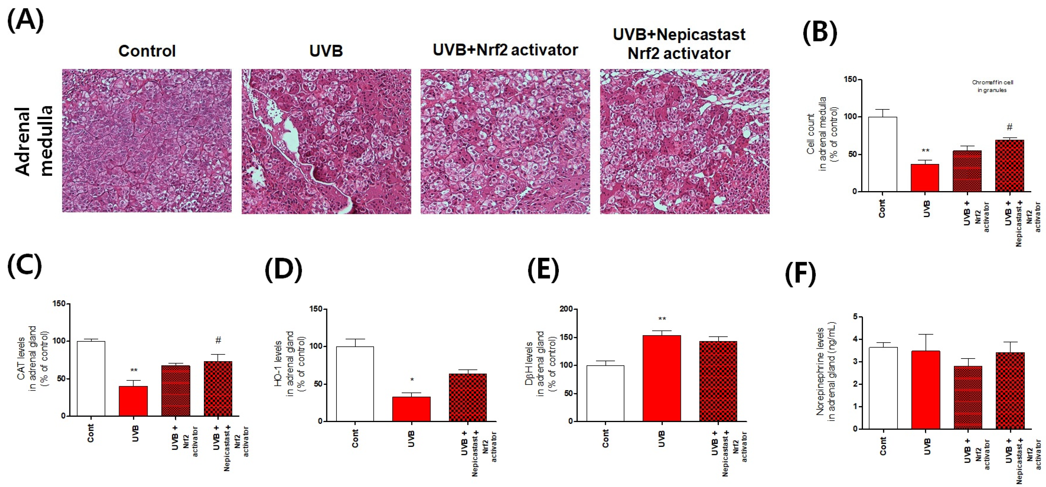 Antioxidants 10 00920 g006 Antioxidants 10 00920 g006