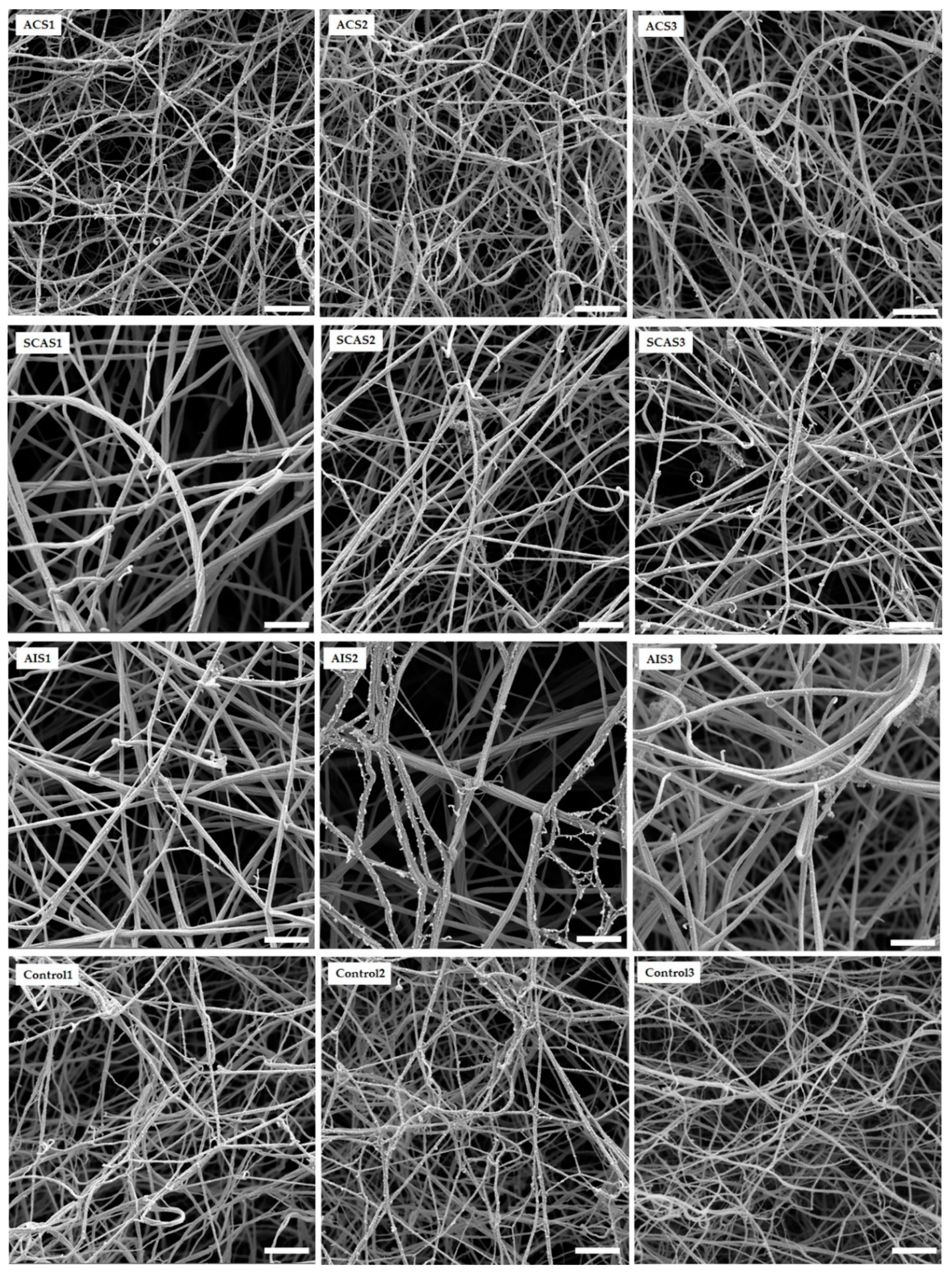 Antioxidants 10 00923 g003