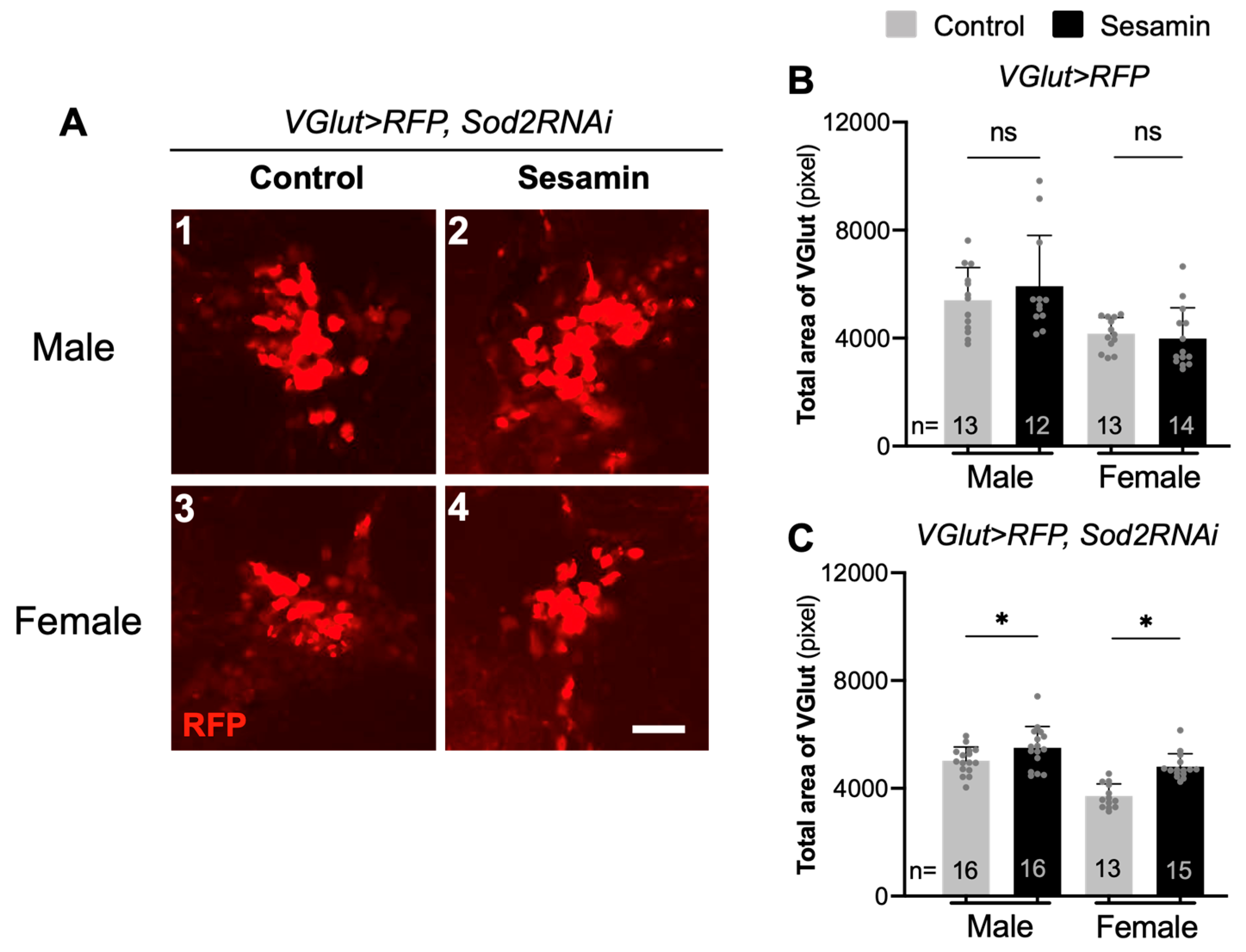 Antioxidants 10 00924 g005 Antioxidants 10 00924 g005