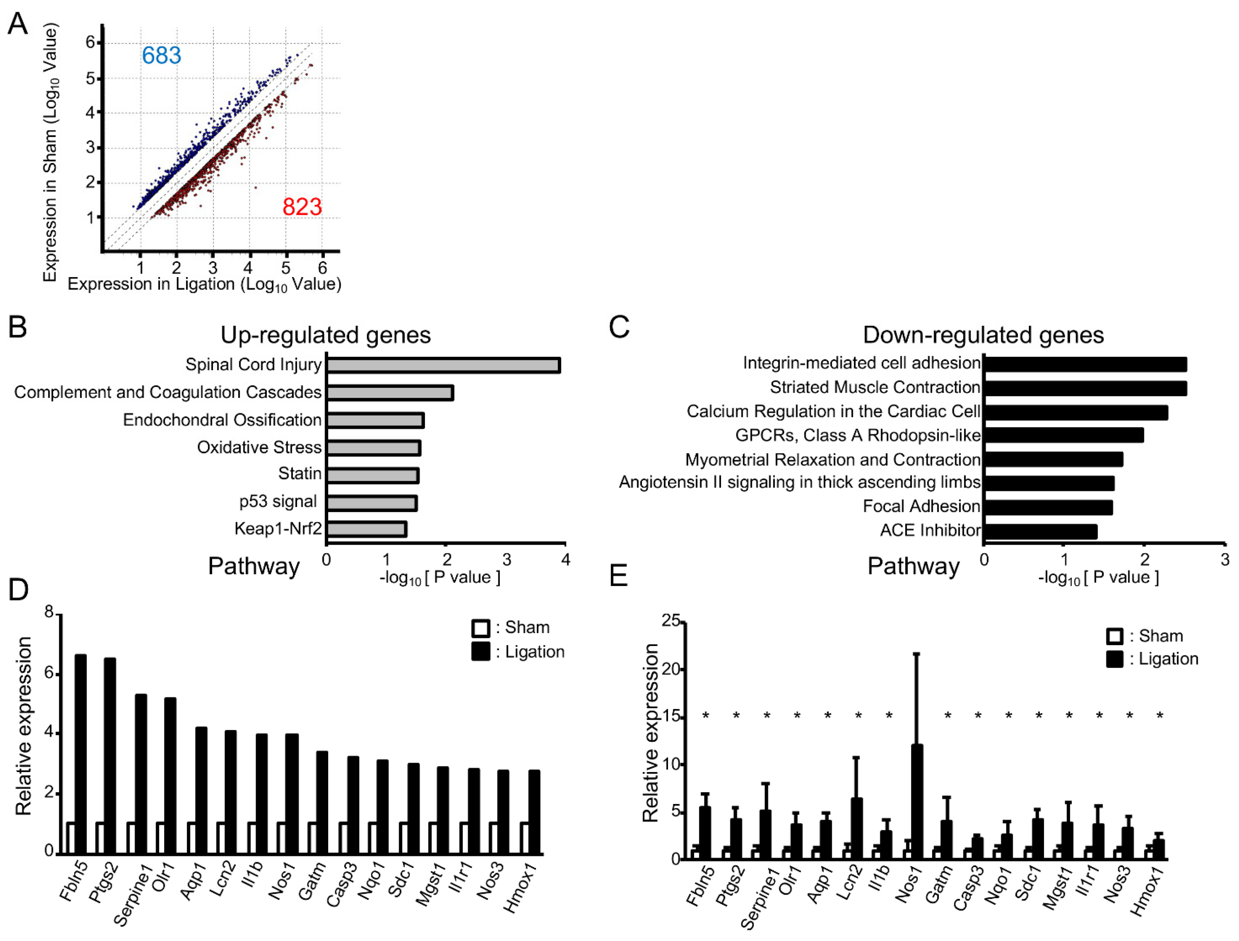 Antioxidants 10 00926 g002 Antioxidants 10 00926 g002
