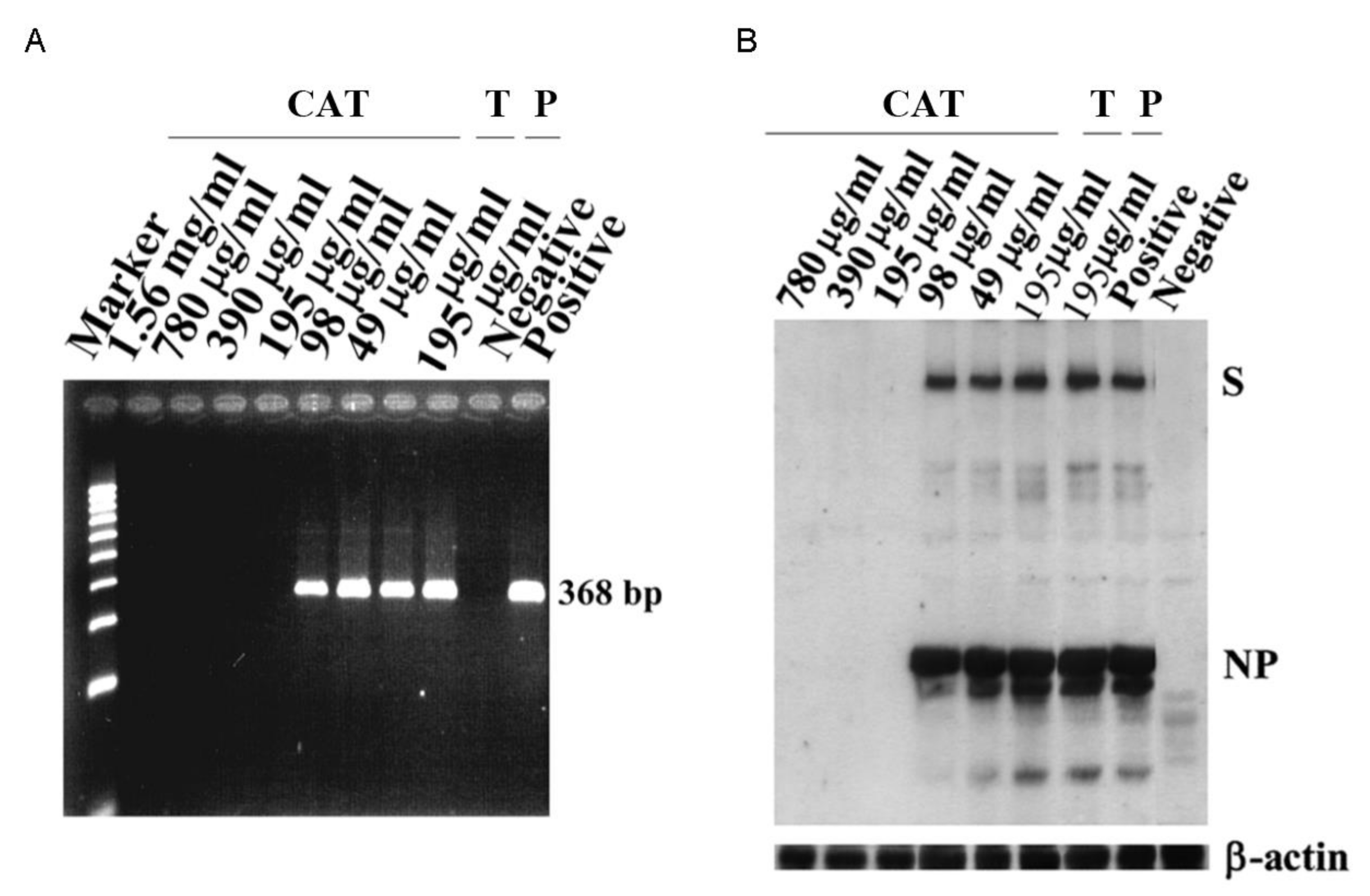 Antioxidants 10 00928 g003 Antioxidants 10 00928 g003