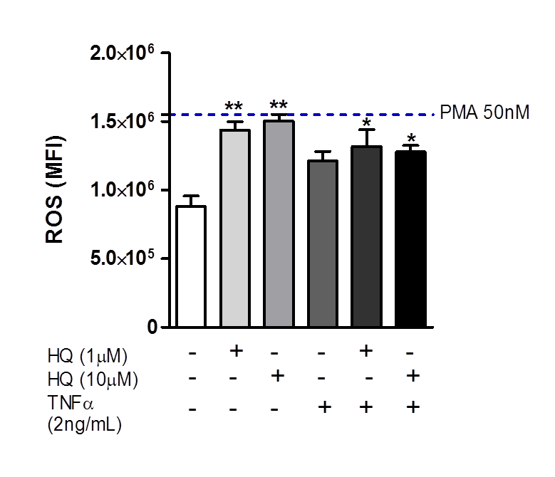 Antioxidants 10 00929 g004