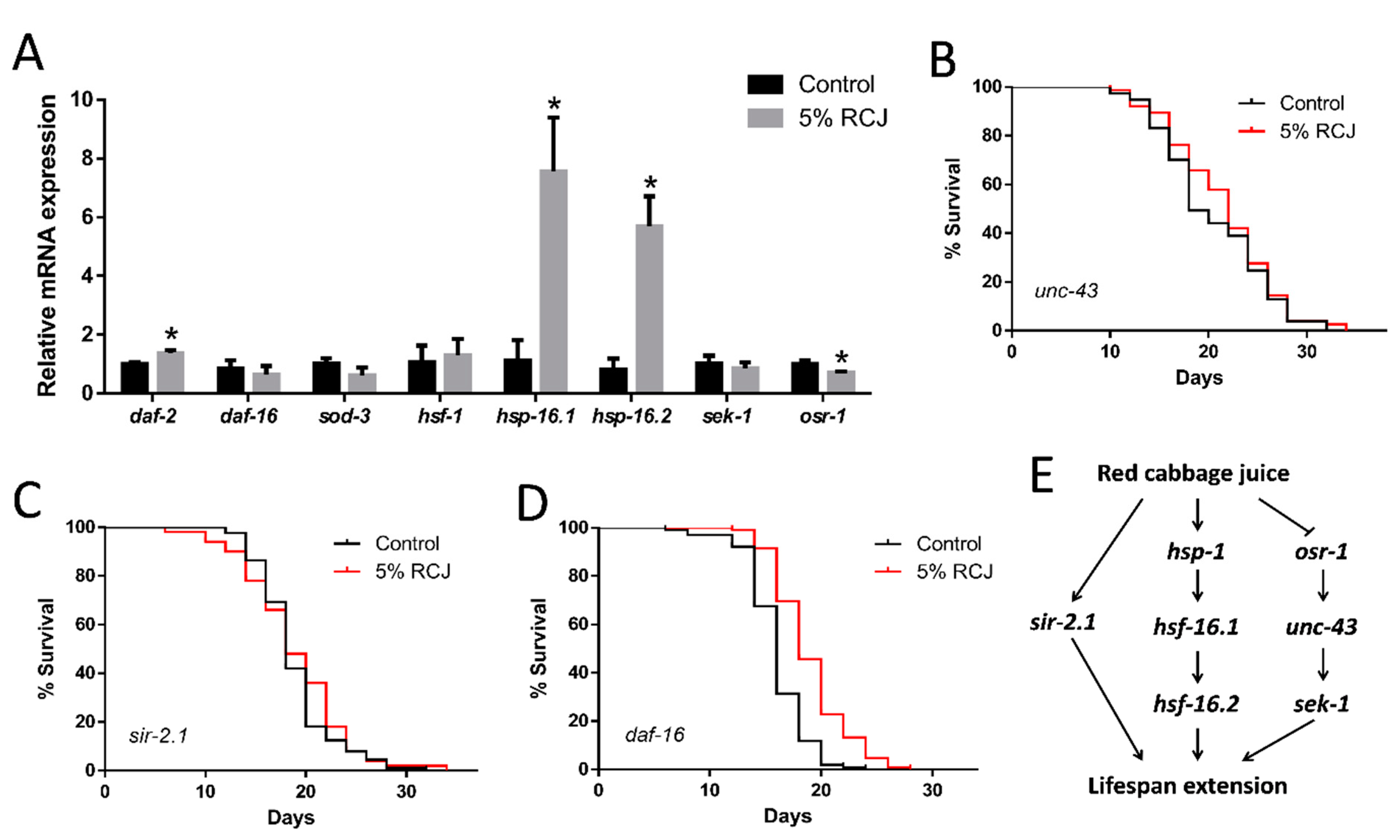 Antioxidants 10 00930 g007