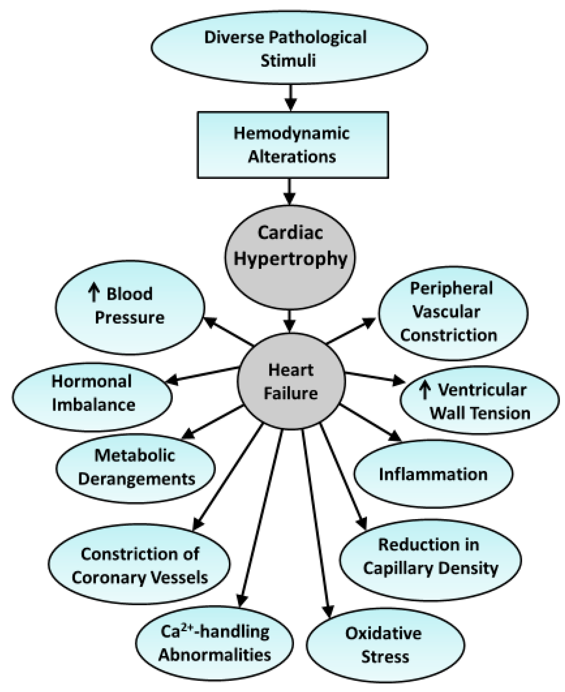 Antioxidants 10 00931 g001 Antioxidants 10 00931 g001