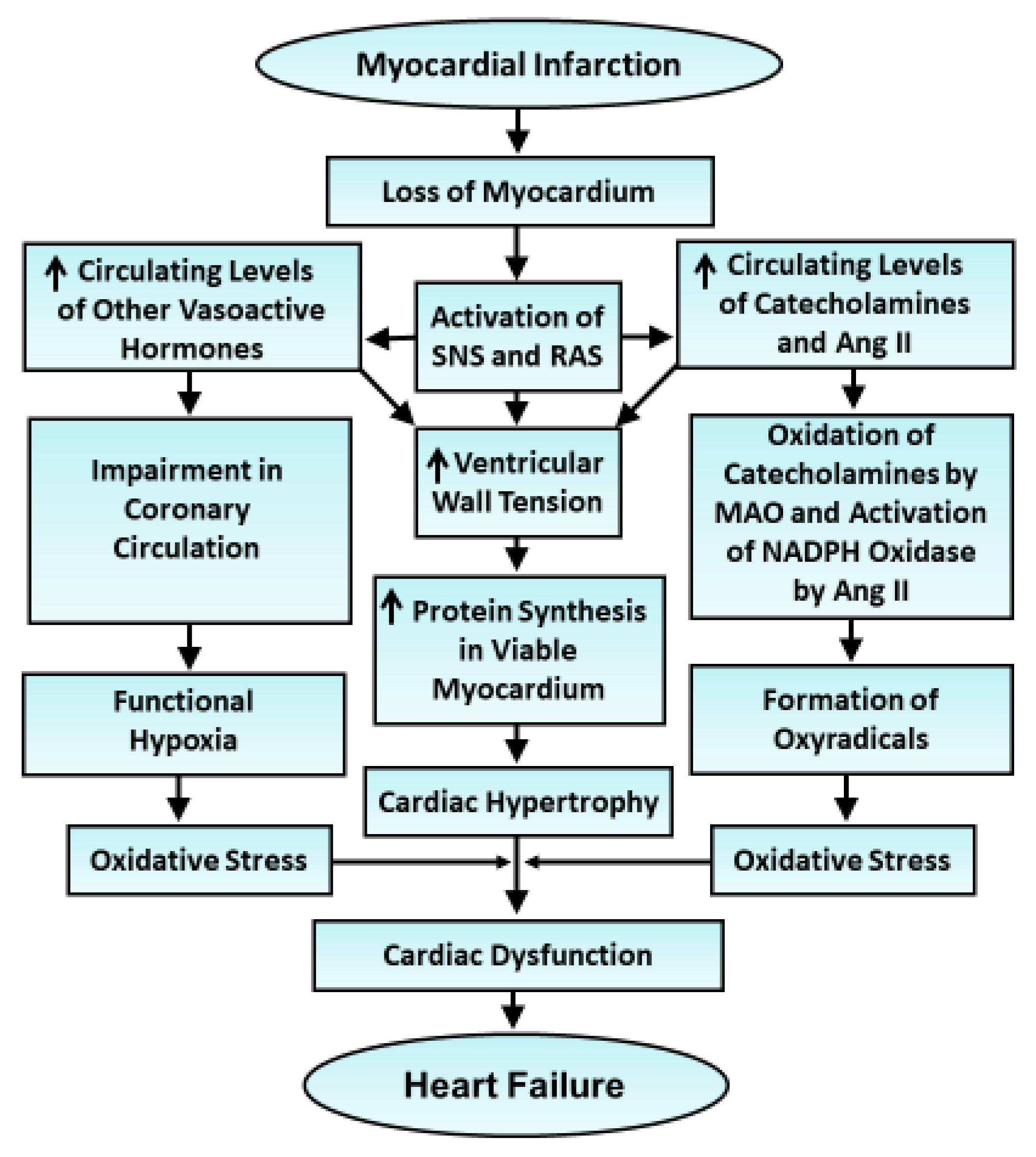 Antioxidants 10 00931 g002 Antioxidants 10 00931 g002