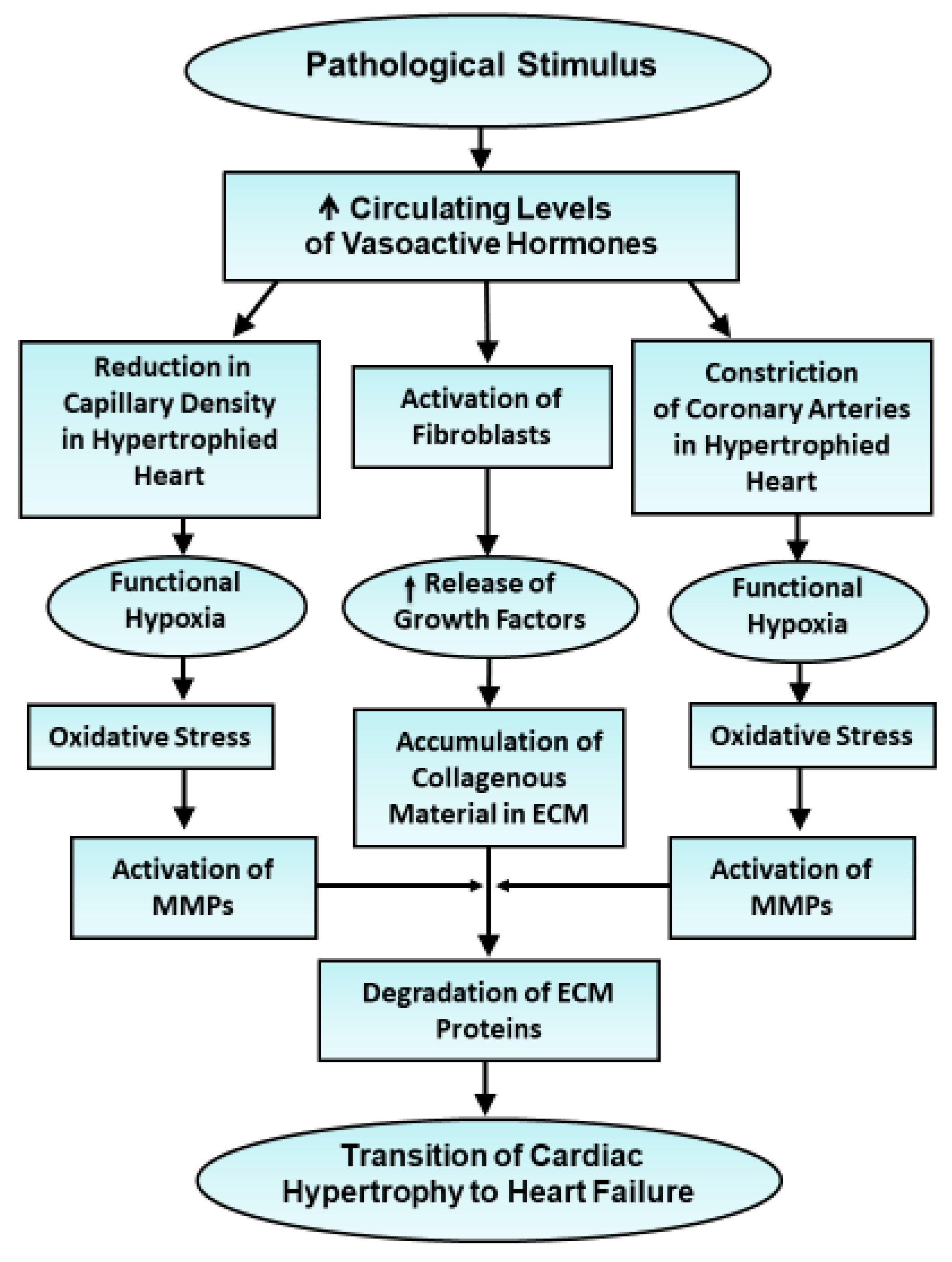 Antioxidants 10 00931 g004 Antioxidants 10 00931 g004
