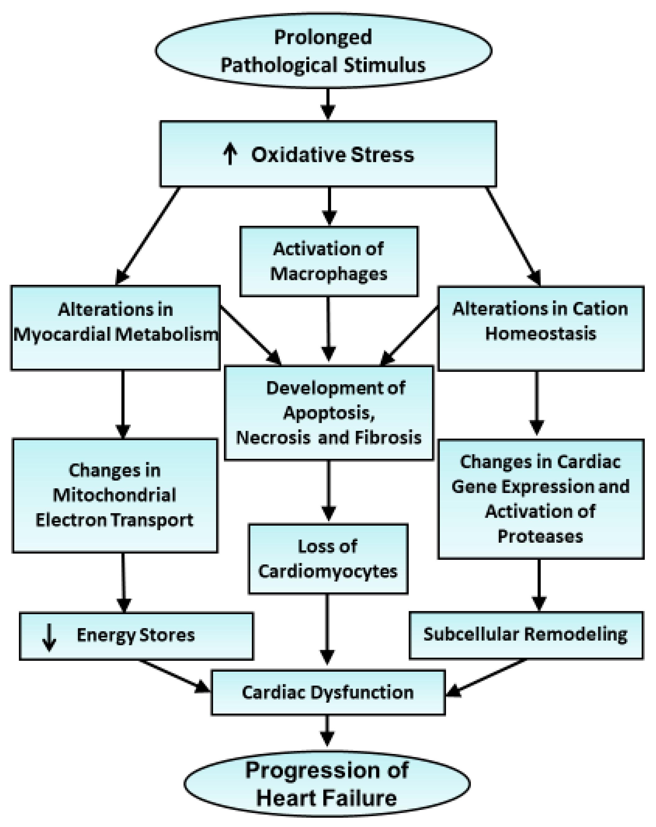 Antioxidants 10 00931 g005 Antioxidants 10 00931 g005