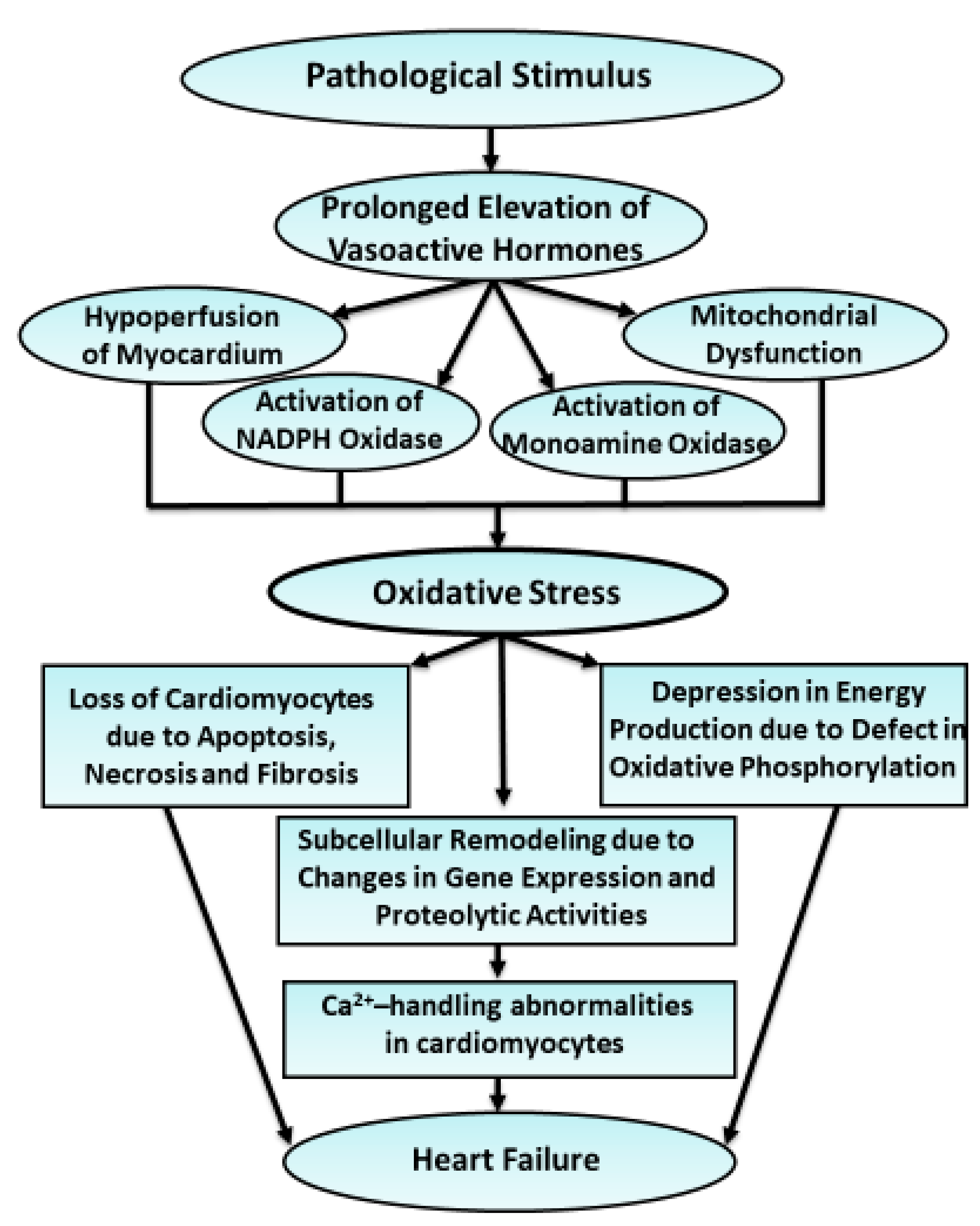 Antioxidants 10 00931 g006 Antioxidants 10 00931 g006