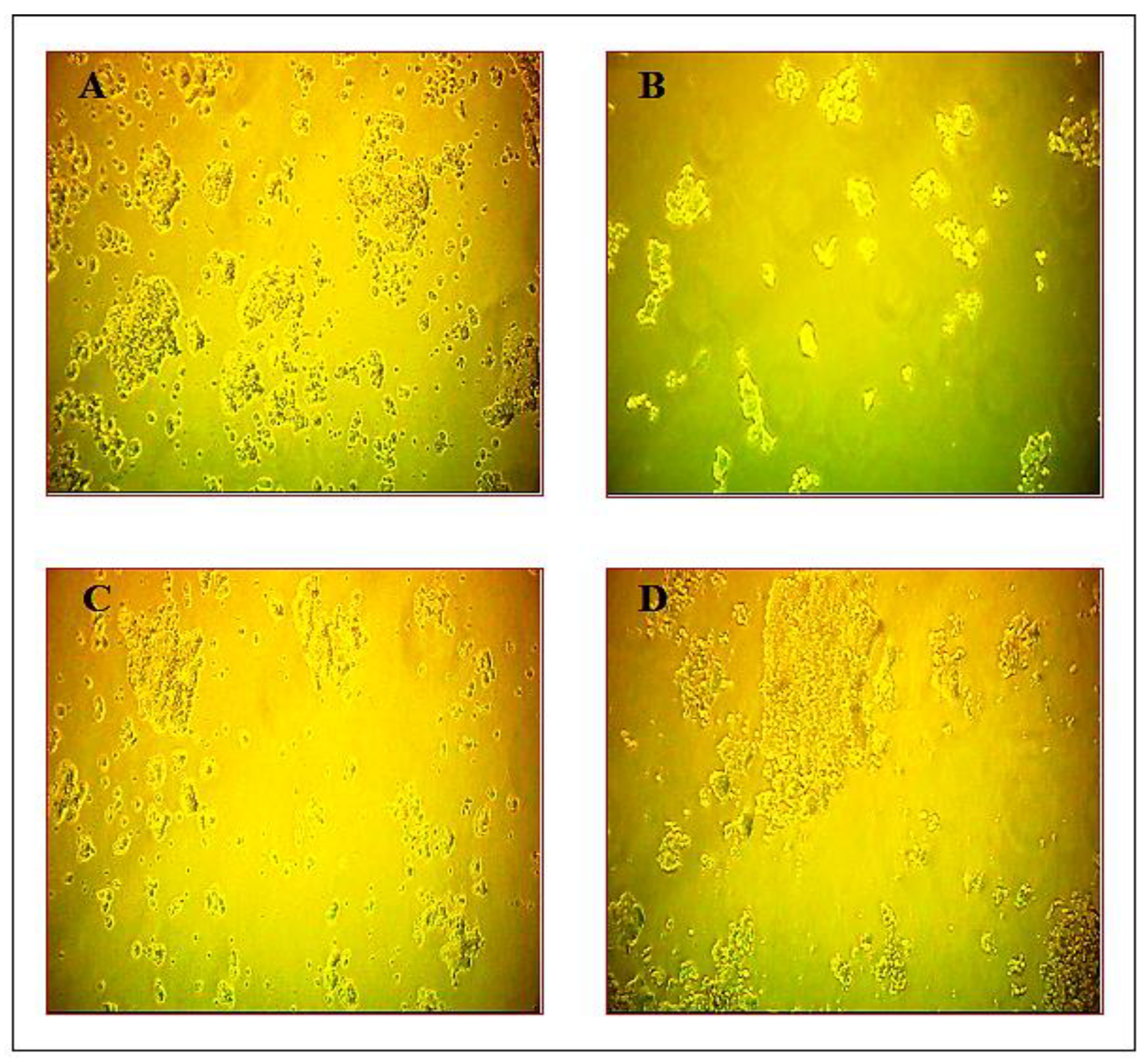 Antioxidants 10 00934 g002