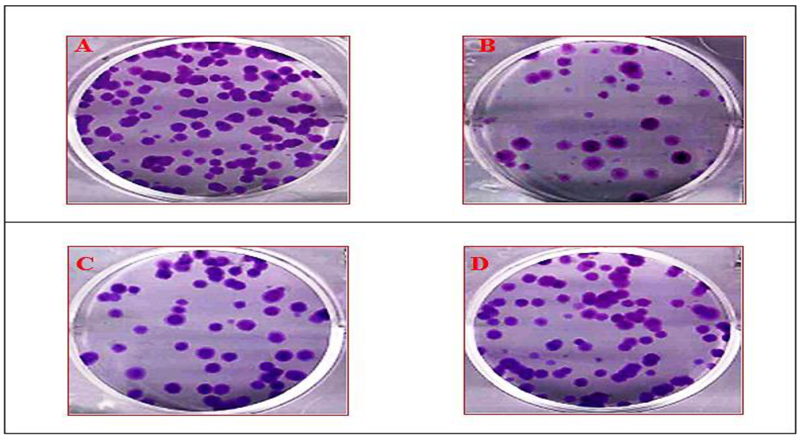 Antioxidants 10 00934 g007