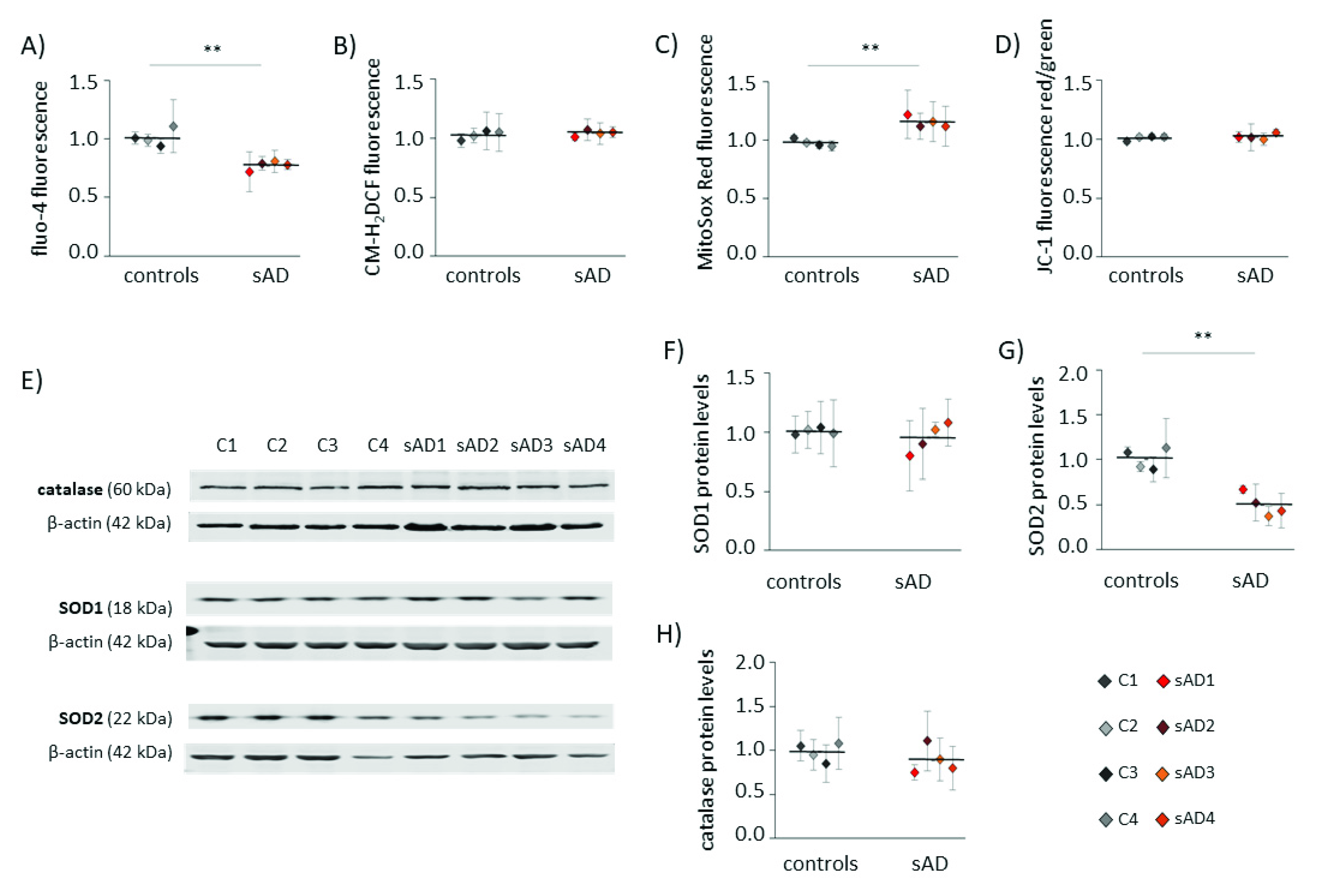 Antioxidants 10 00938 g001