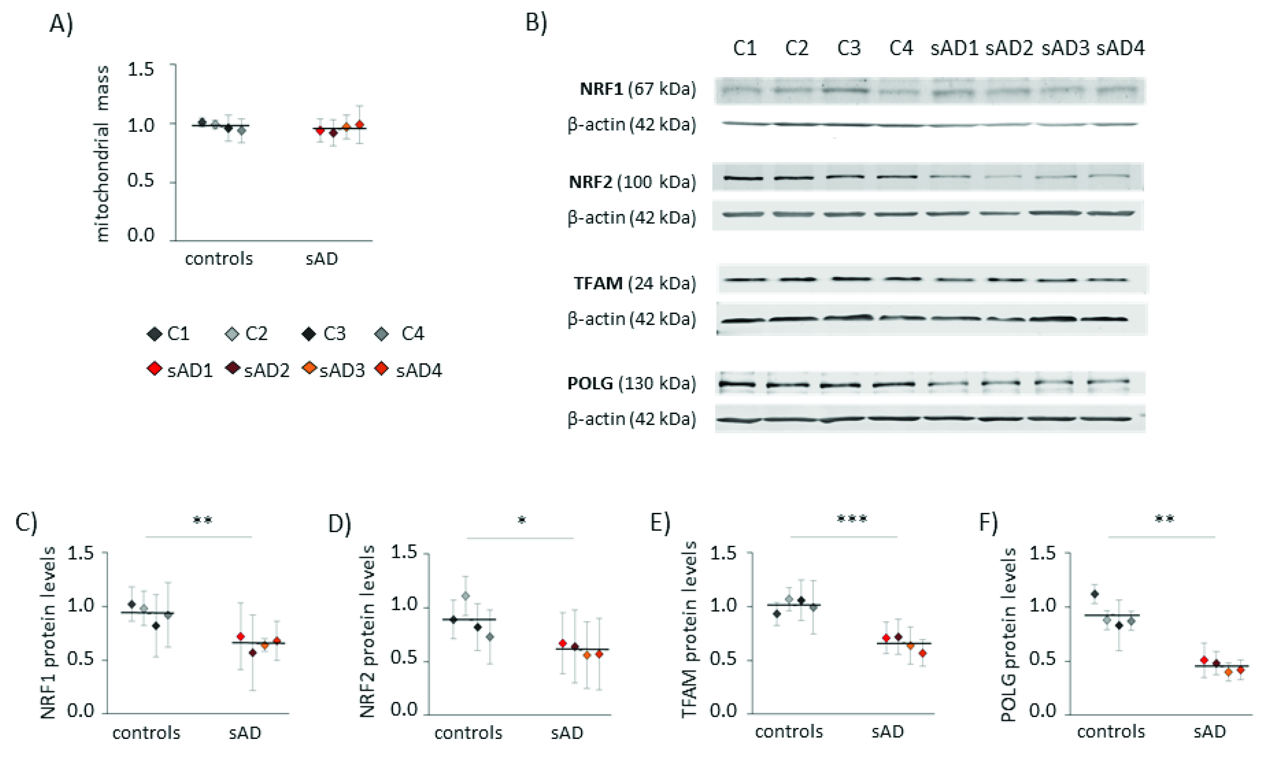 Antioxidants 10 00938 g002