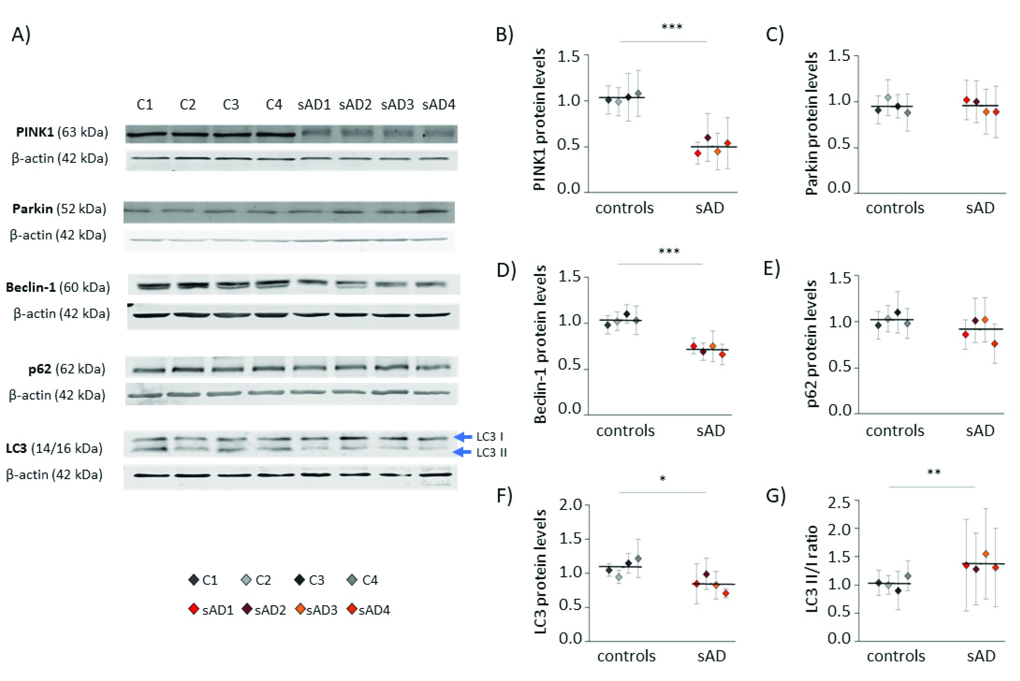 Antioxidants 10 00938 g003