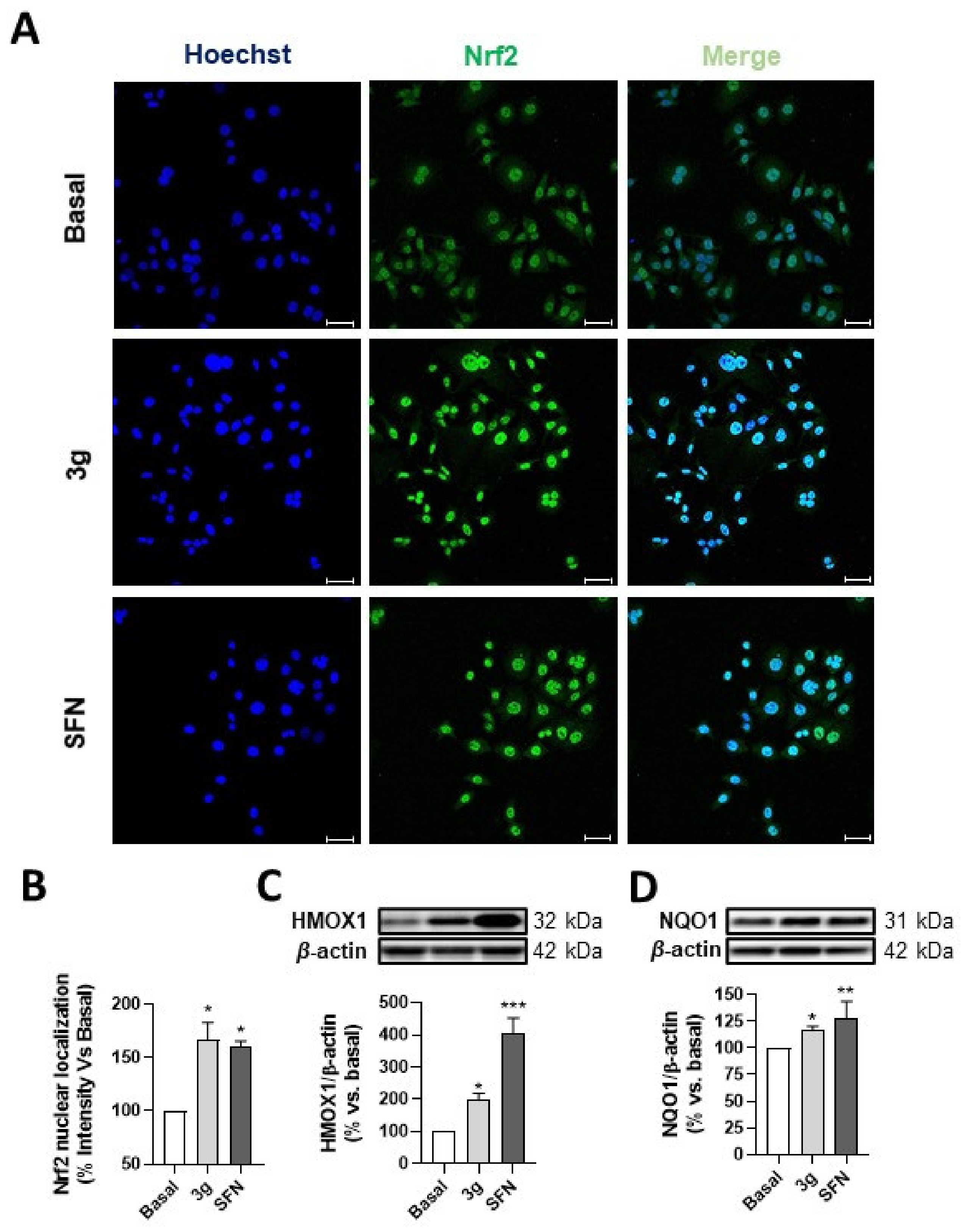 Antioxidants 10 00941 g004