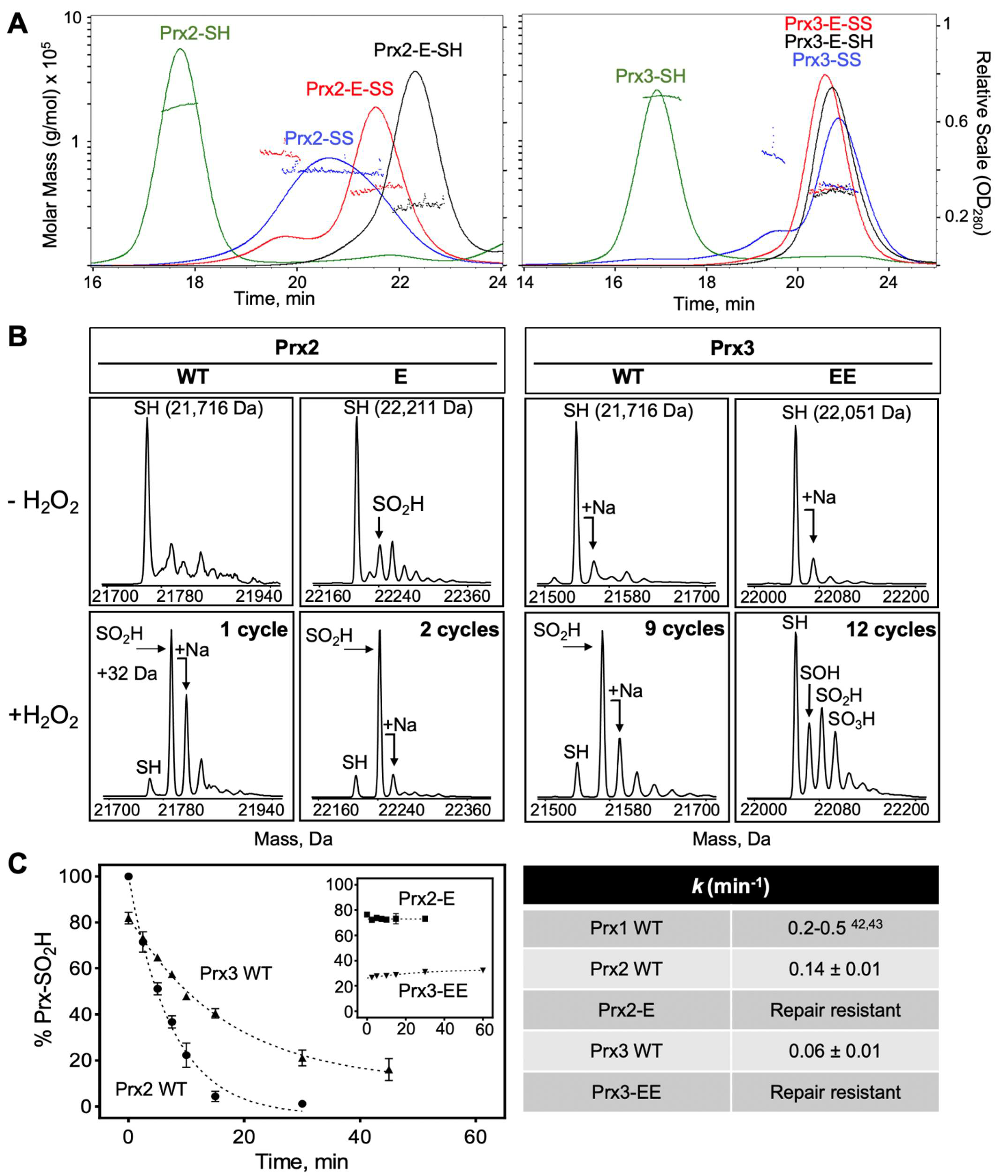 Antioxidants 10 00946 g004 Antioxidants 10 00946 g004