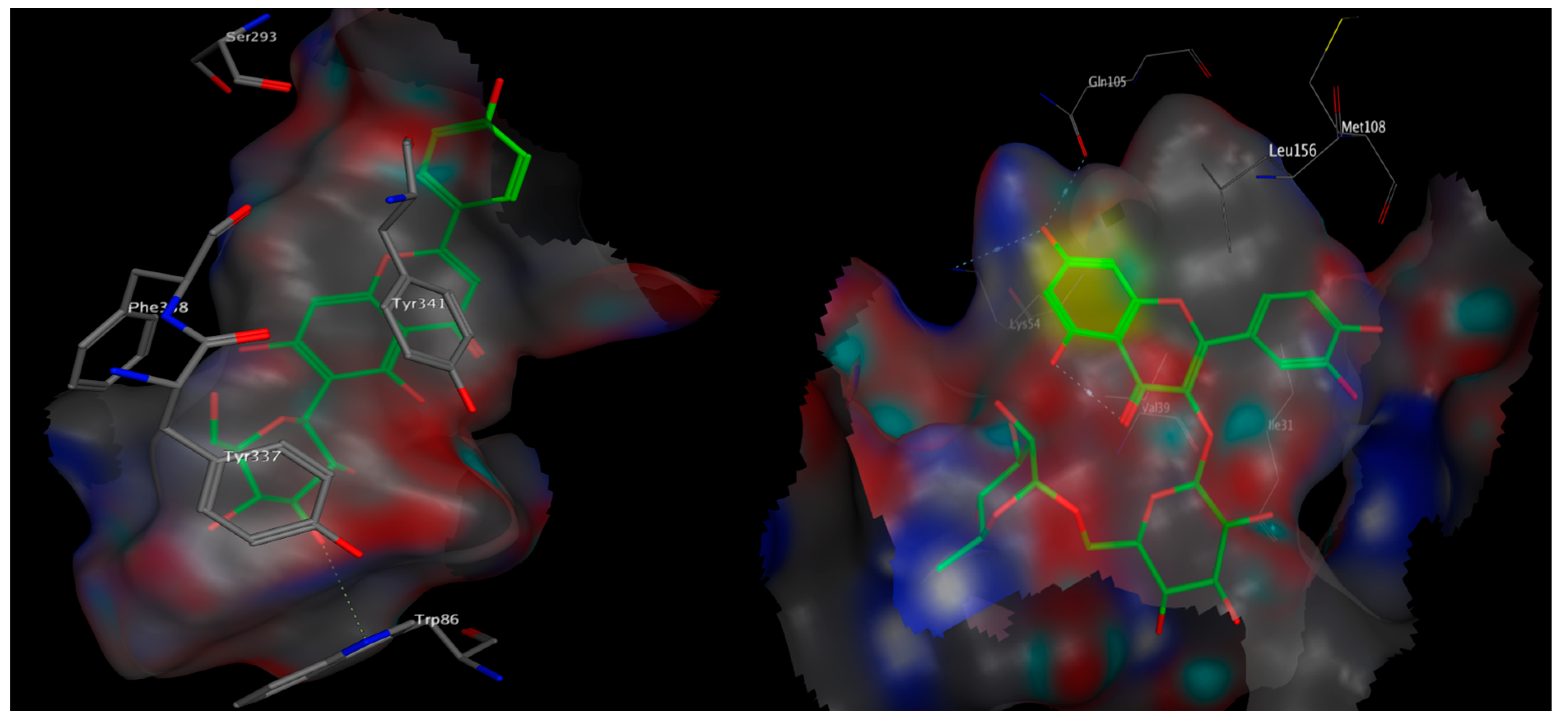 Antioxidants 10 00947 g008