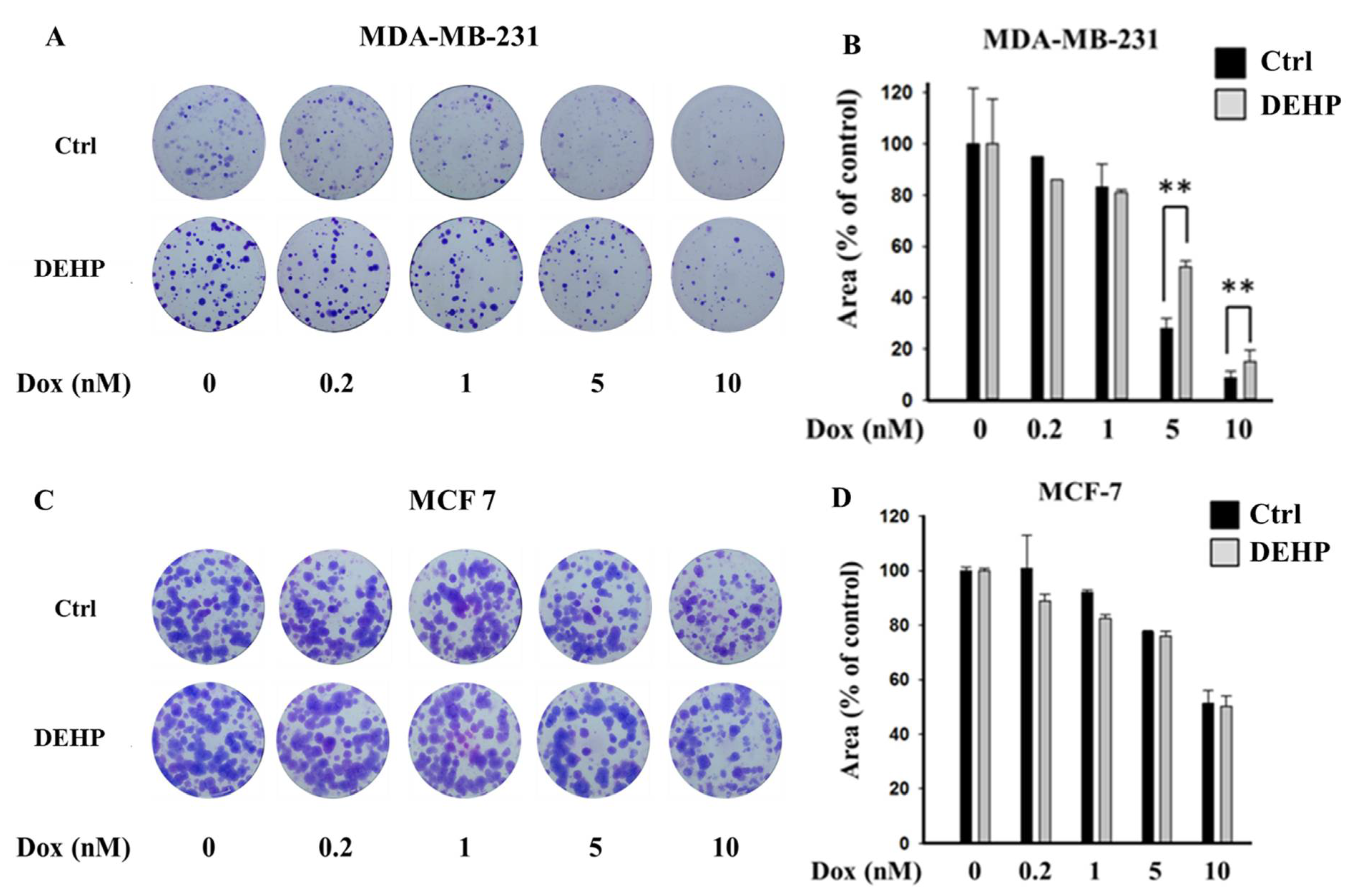 Antioxidants 10 00949 g001