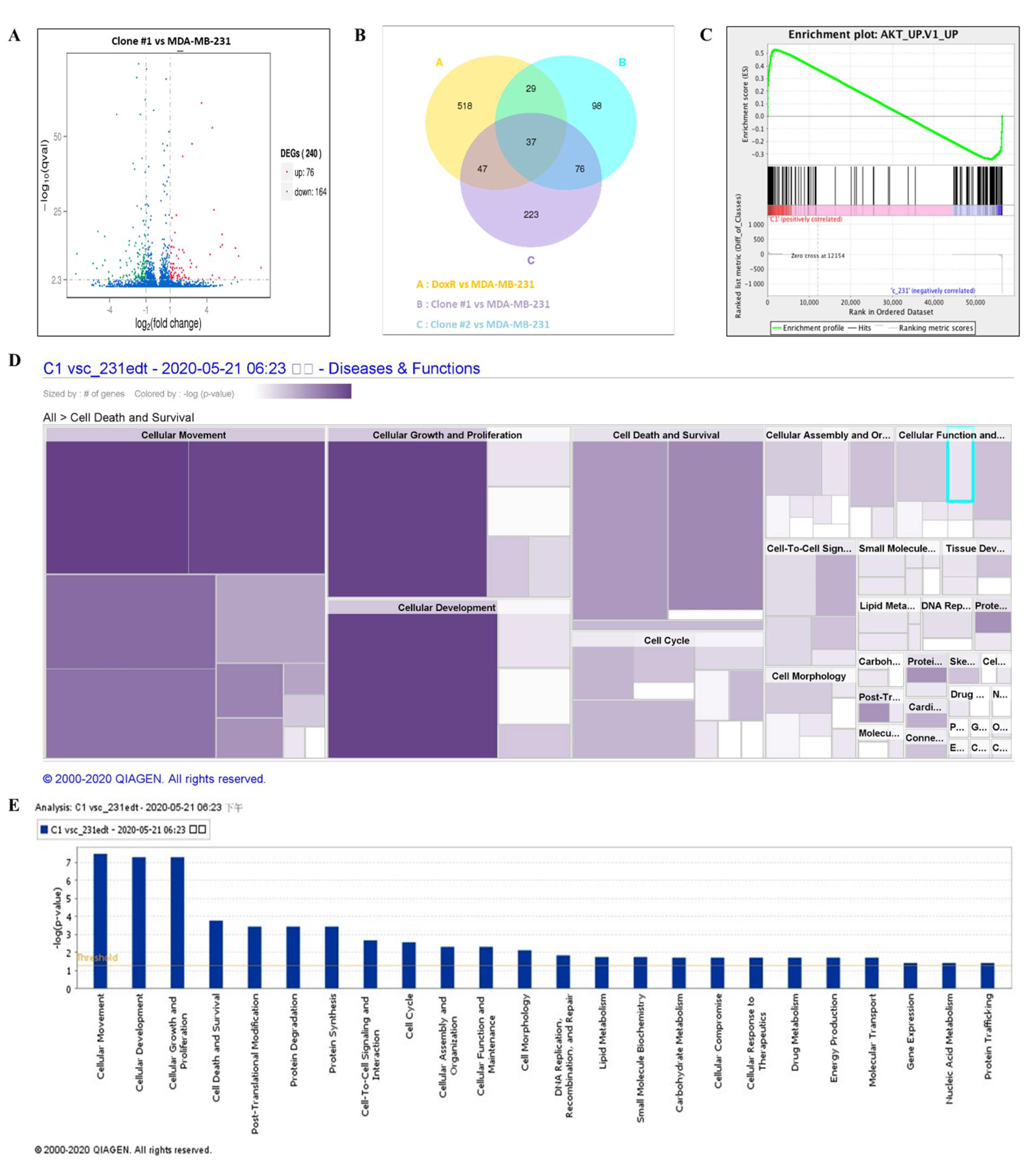Antioxidants 10 00949 g007