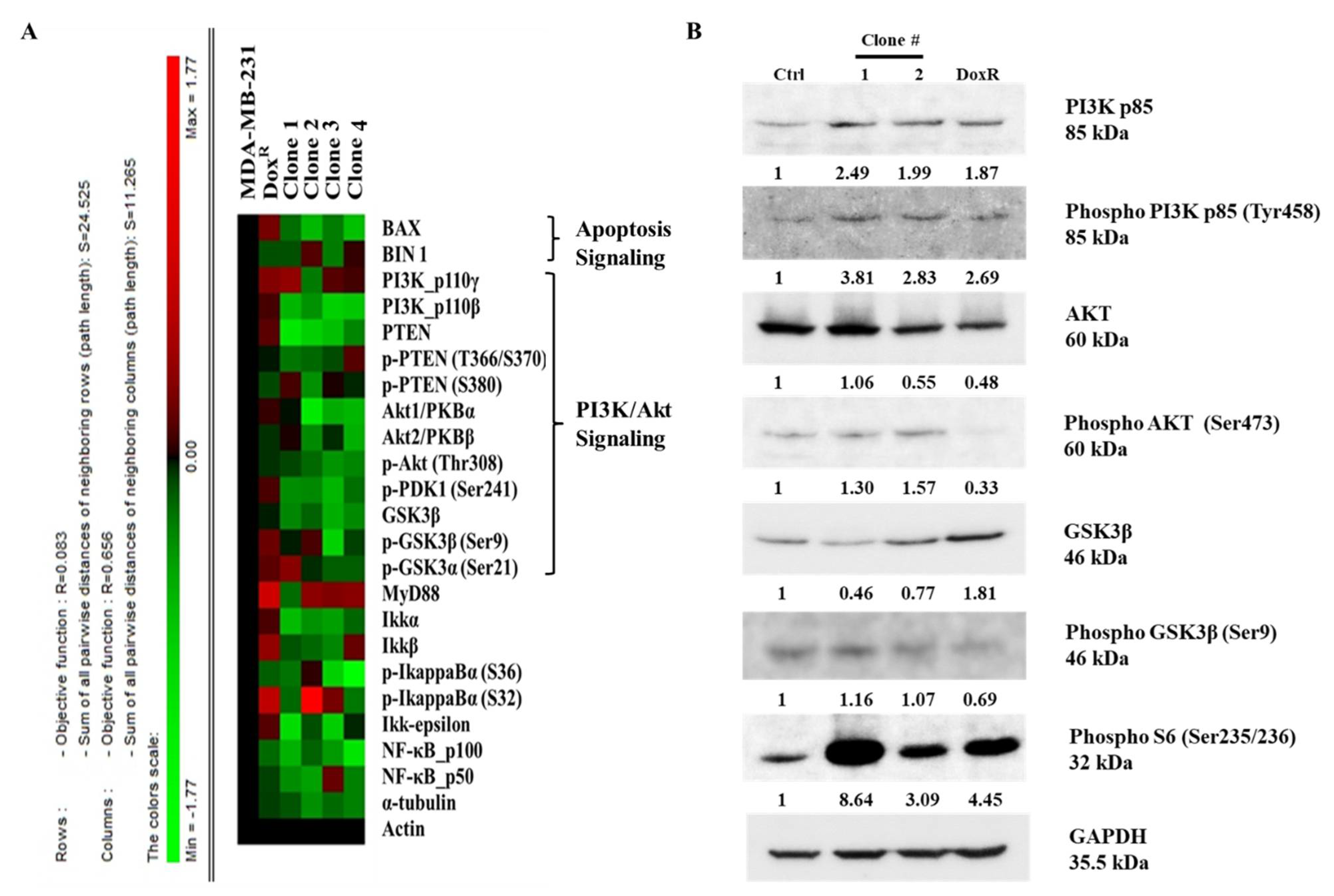Antioxidants 10 00949 g008