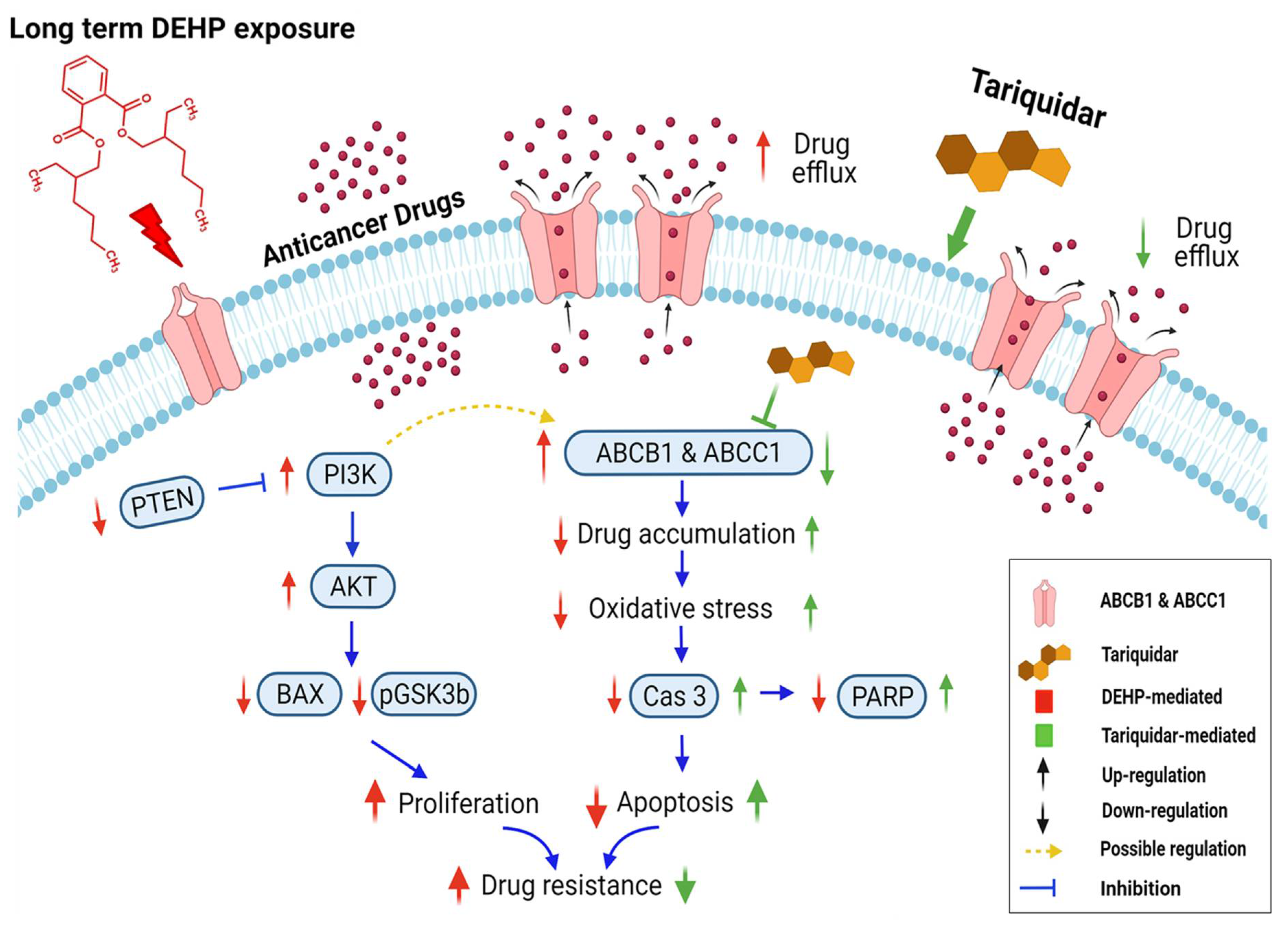 Antioxidants 10 00949 g009